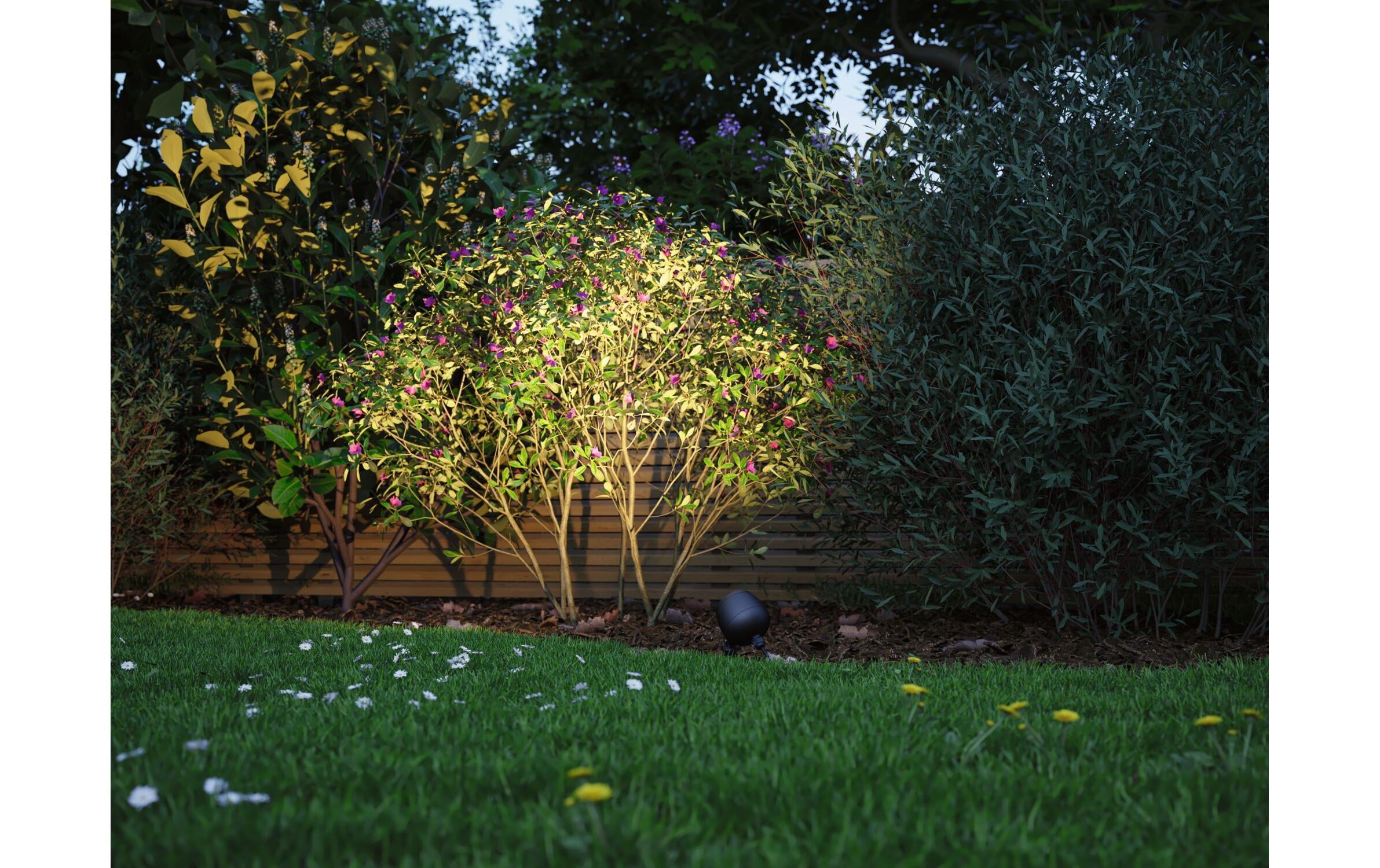 Paulmann LED Gartenleuchte »Plug & Shine«