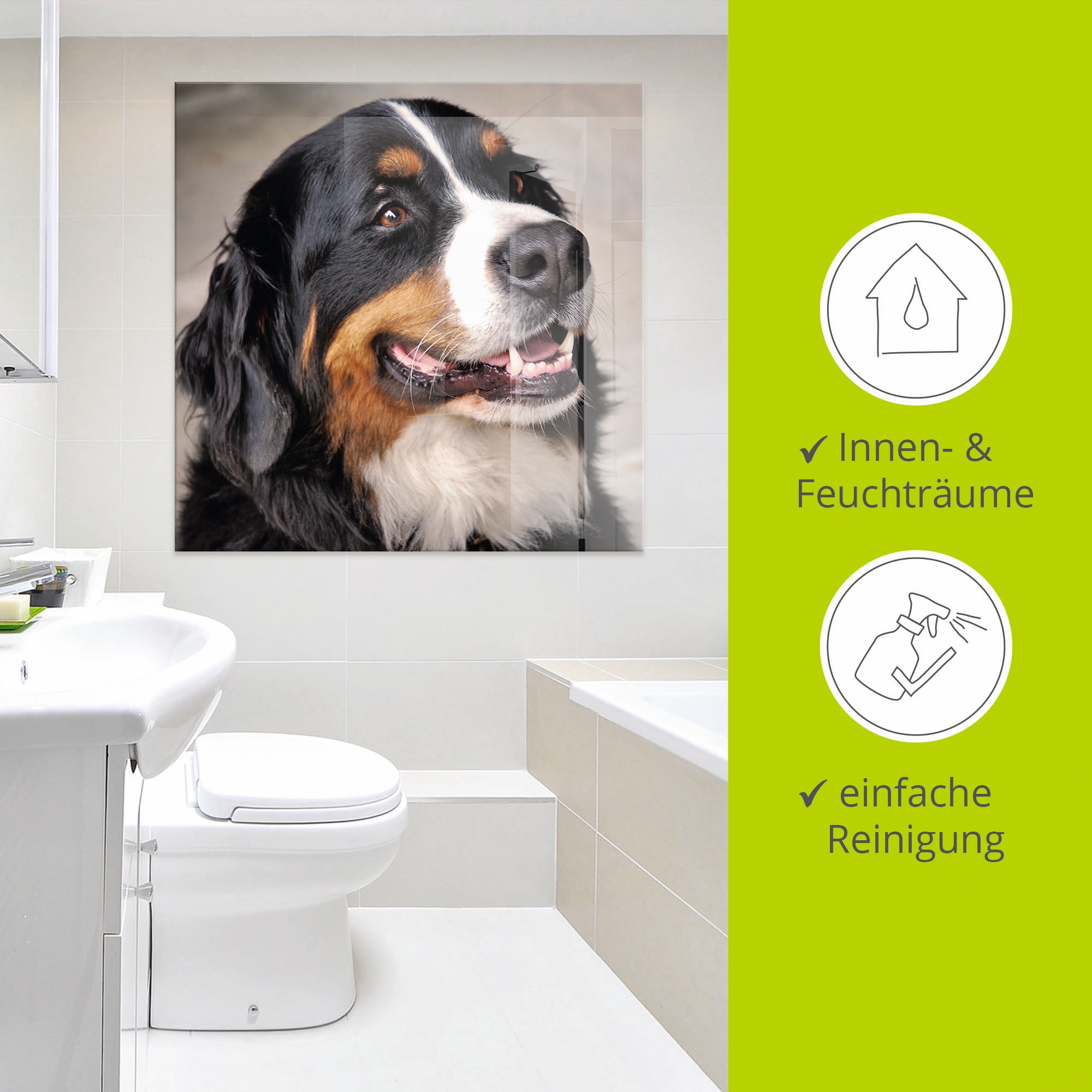 Artland Glasbild »Berner Sennenhund«, Haustiere, (1 St.), in verschiedenen Grössen
