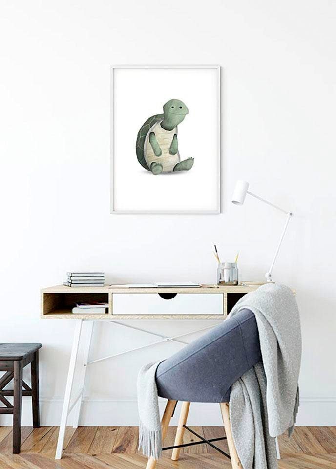 Komar Bild "Cute Animal Turtle" Schildkröten 1 Stk. tlg. Wandbild zur Dekoration - ohne Rahmen