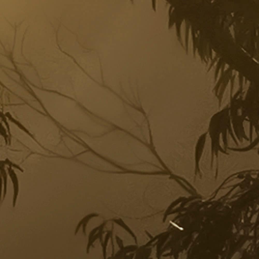 Komar Fototapete »Digitaldruck Vlies - Foggy Sunshine - Grösse 400 x 250 cm«, bedruckt, Wohnzimmer, Schlafzimmer
