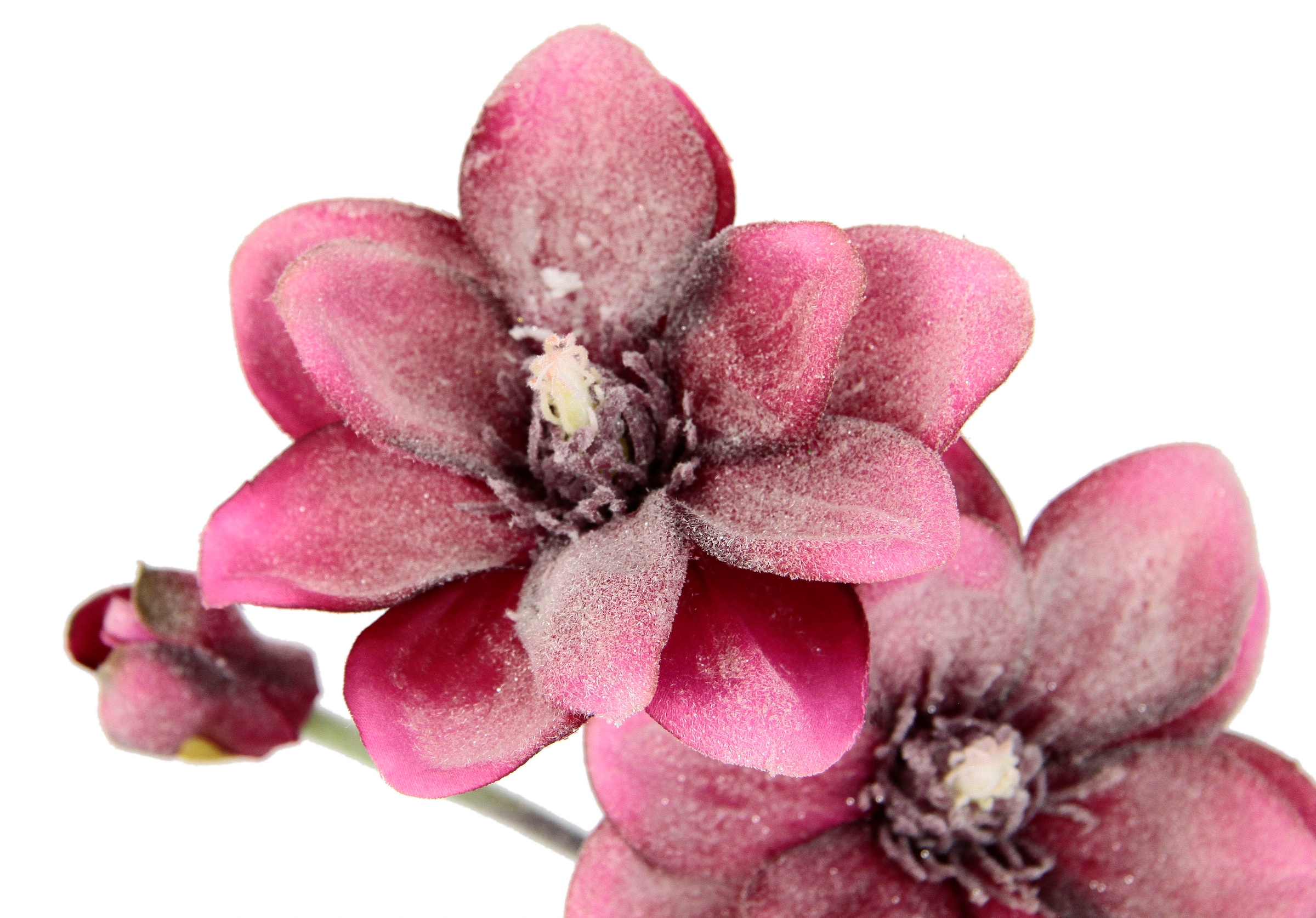 I.GE.A. Kunstblume »Magnolie«, Künstlicher Magnolienzweig, kaufen 3er Set | online Jelmoli-Versand