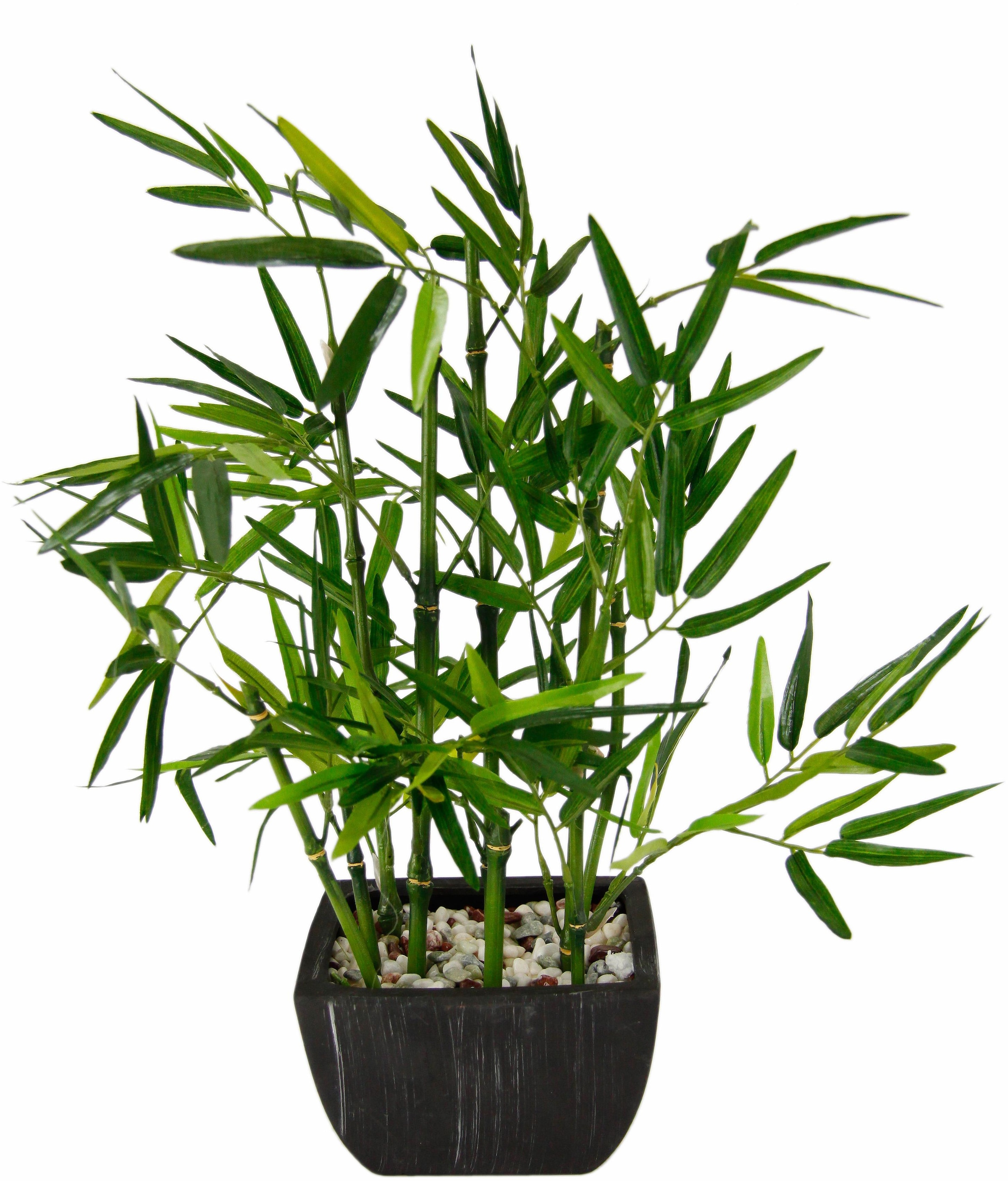 I.GE.A. Kunstpflanze »Bambus« Jelmoli-Versand | online shoppen