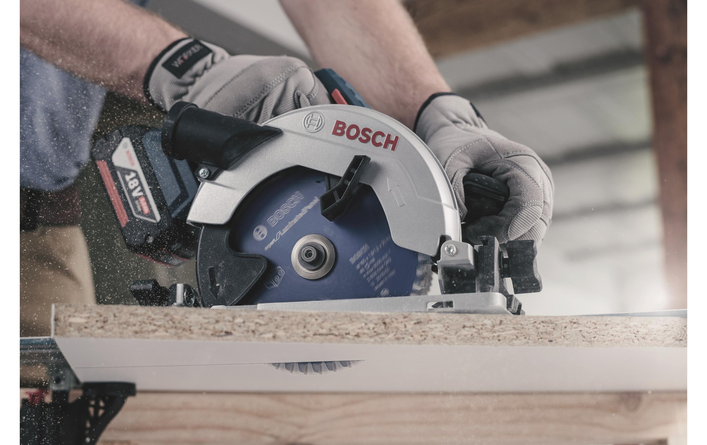 Bosch Professional Kreissägeblatt »Expert«, (1 St.)