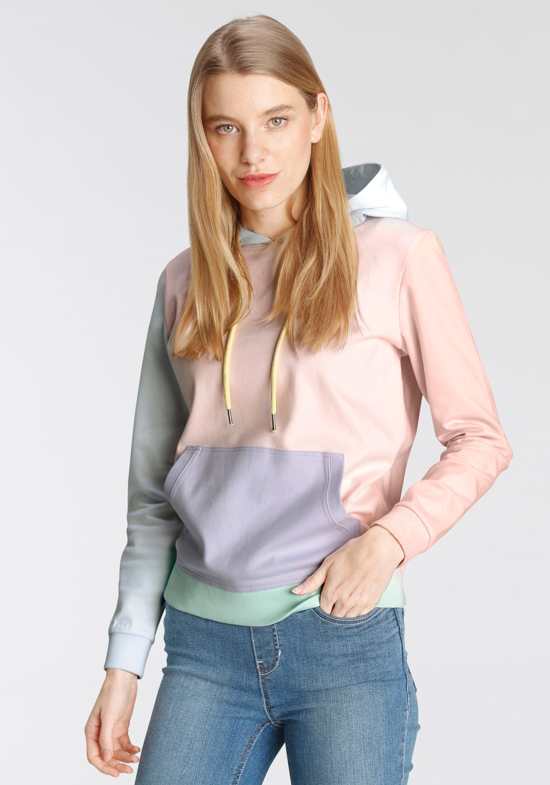 Flashlights Kapuzensweatshirt, Pride Edition kaufen