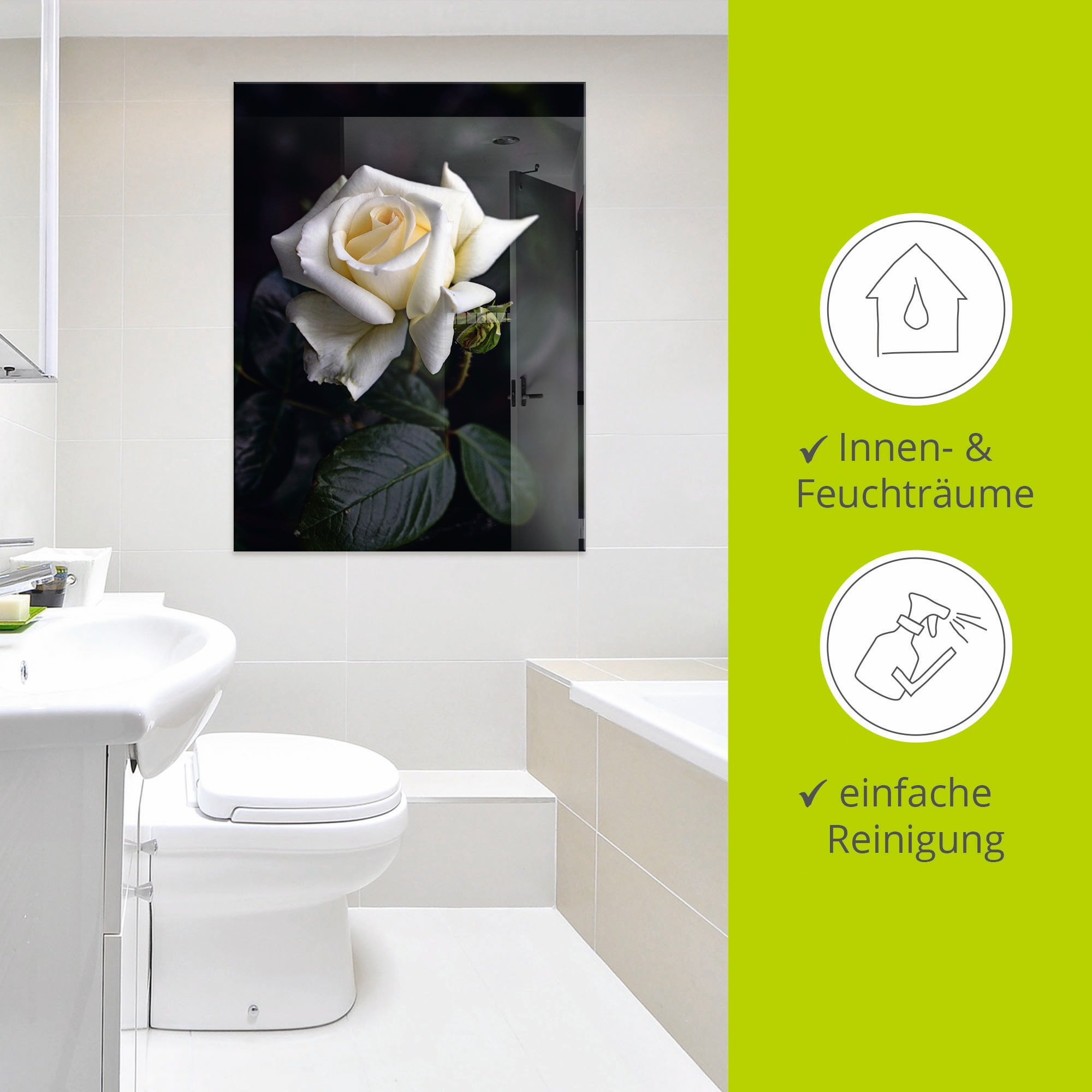 Artland Glasbild »Weiss-gelbe Rose«, Blumen, (1 St.), in verschiedenen Grössen