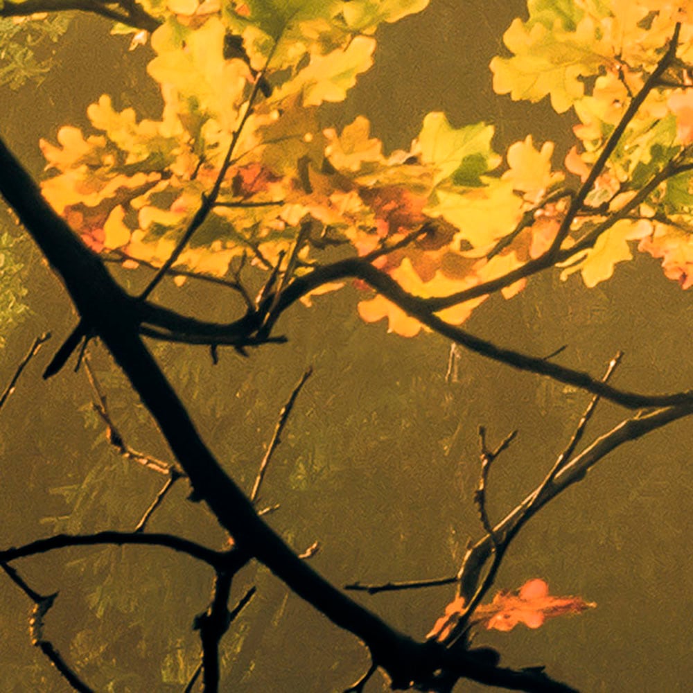 Komar Fototapete »Digitaldruck Vlies - Devil's Bridge - Grösse 400 x 250 cm«, bedruckt, Wohnzimmer, Schlafzimmer