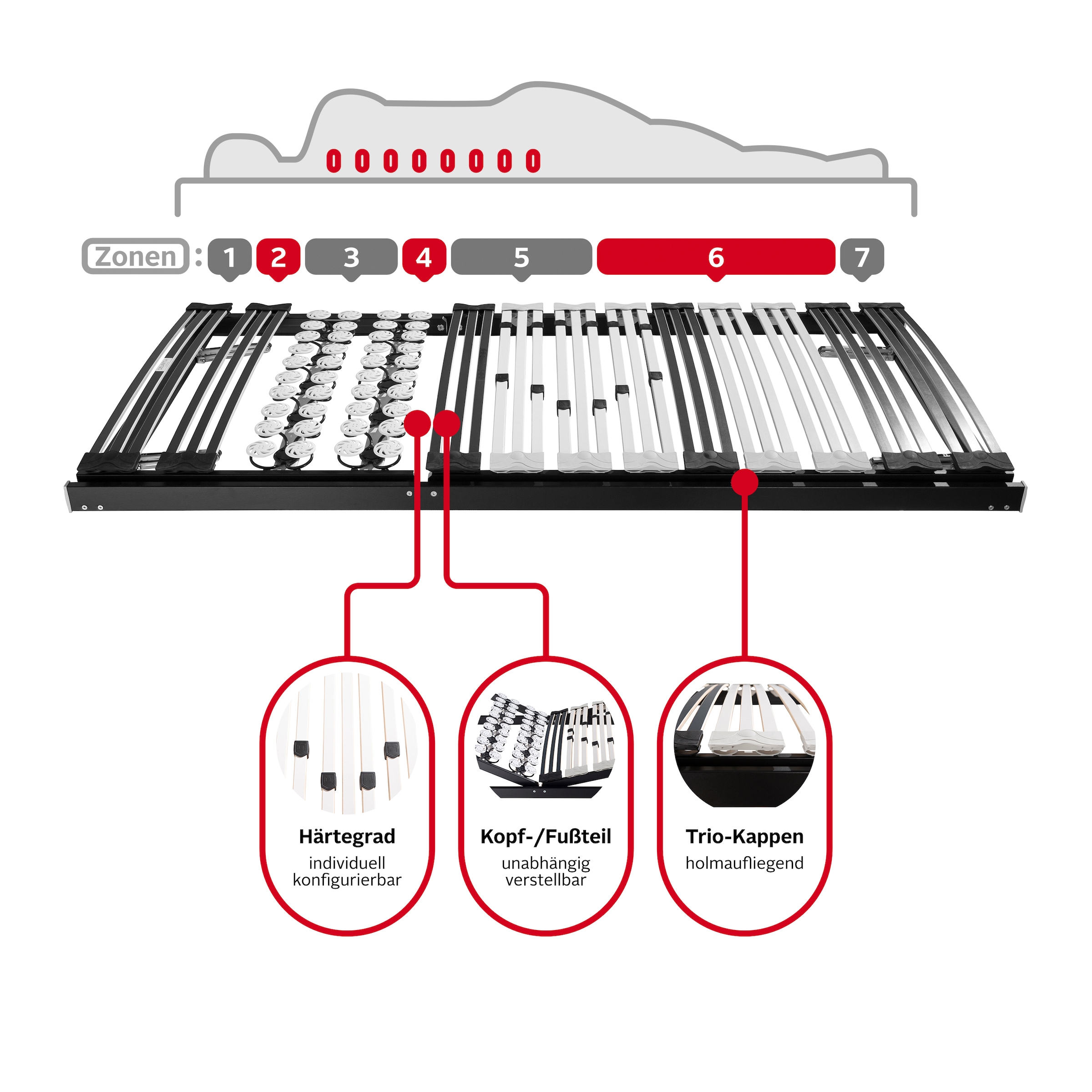 DELAVITA Teiltellerlattenrost »Müritz 90x200, 140x200 cm und weiteren Grössen«, (1 St.), Lattenrost für alle Matratzen, langlebig, ergonomisch, 7-Zonen