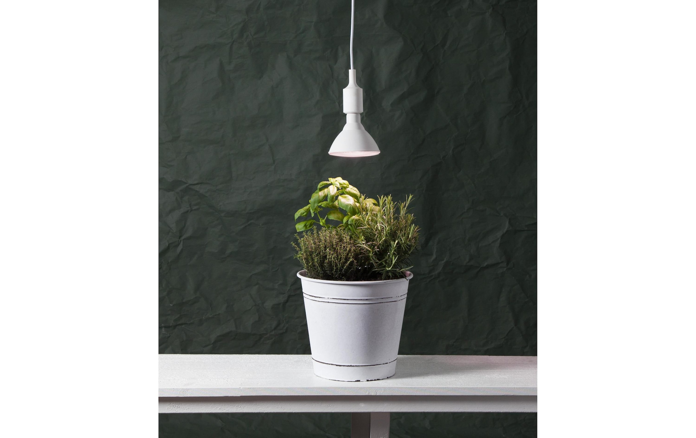 Parforce Traditional Hunting LED-Leuchtmittel »Leuchtmittel Plant Lig«