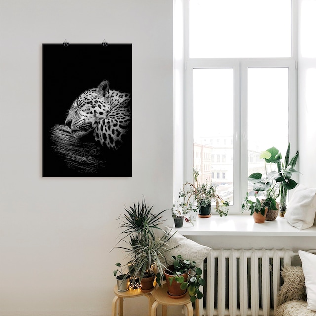 Alubild, online in | Wandbild Jaguar«, Artland als Grössen oder Wandaufkleber »Der schlafende versch. Wildtiere, (1 kaufen Leinwandbild, Poster St.), Jelmoli-Versand