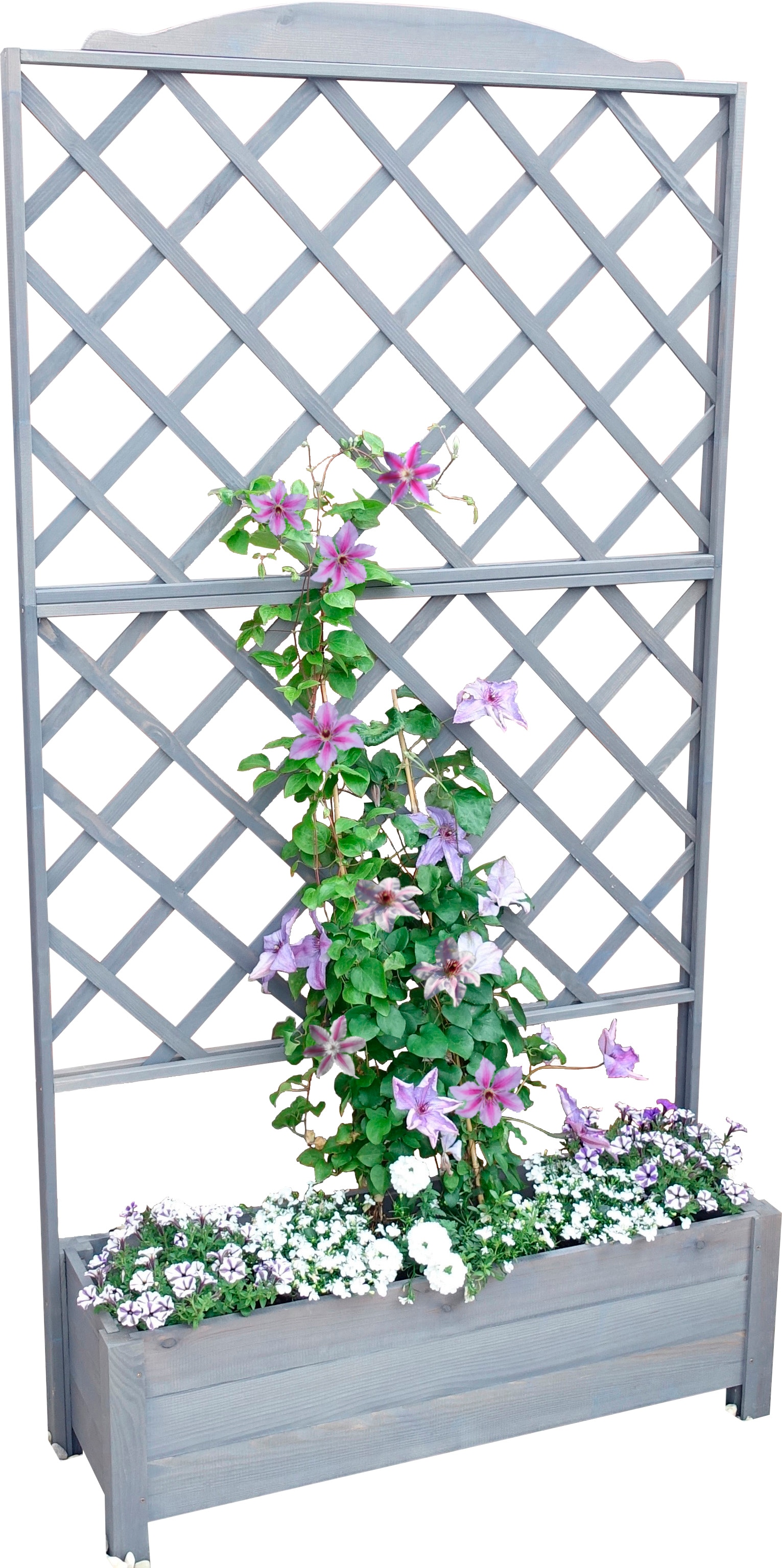 promadino Rankhilfe »Botanica«, Rankkasten, BxTxH: 110x32x210 cm