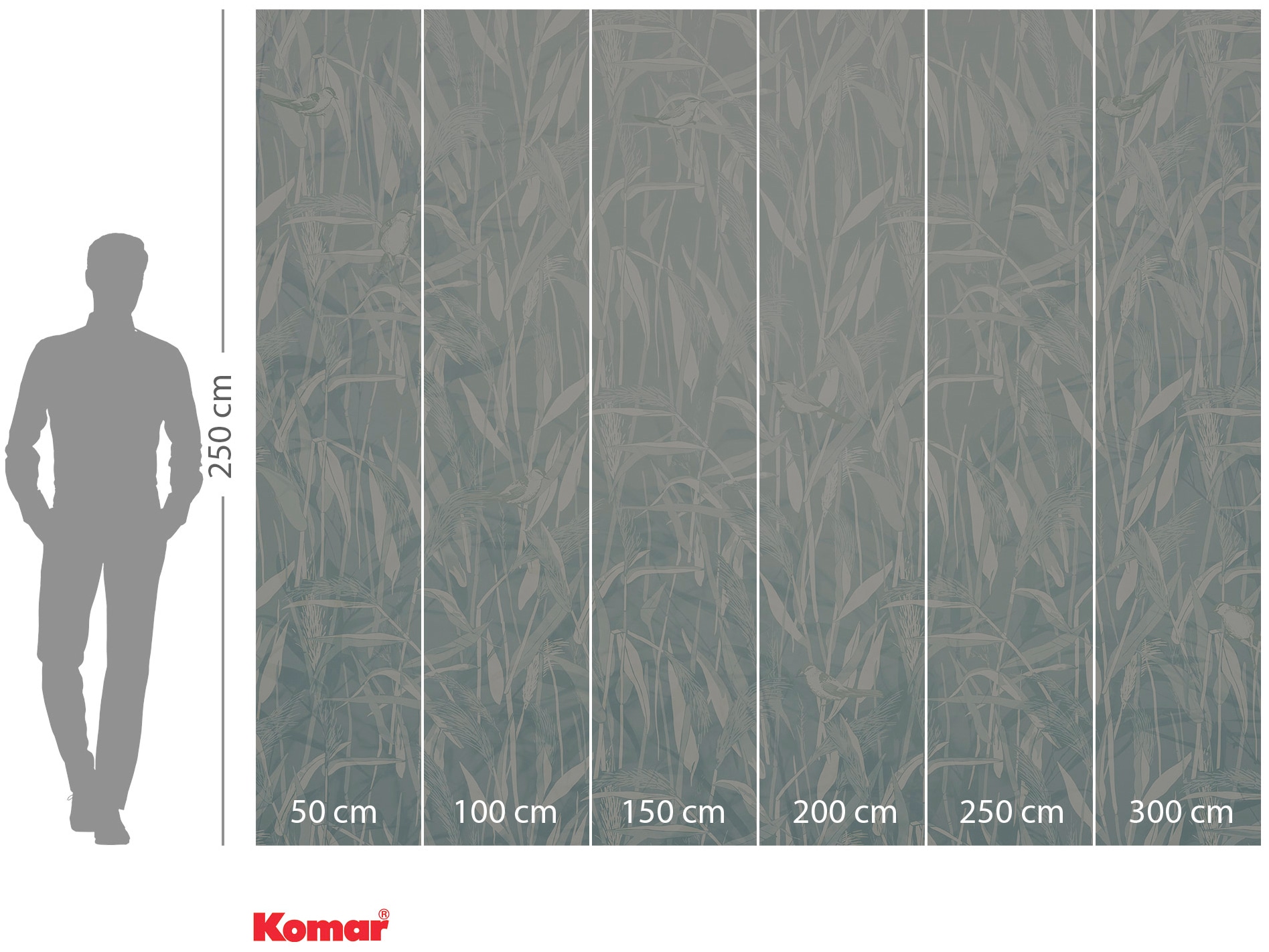 Komar Vliestapete »Digitaldruck Vlies - Reed - Grösse 300 x 250 cm«, bedruckt, Wohnzimmer, Schlafzimmer