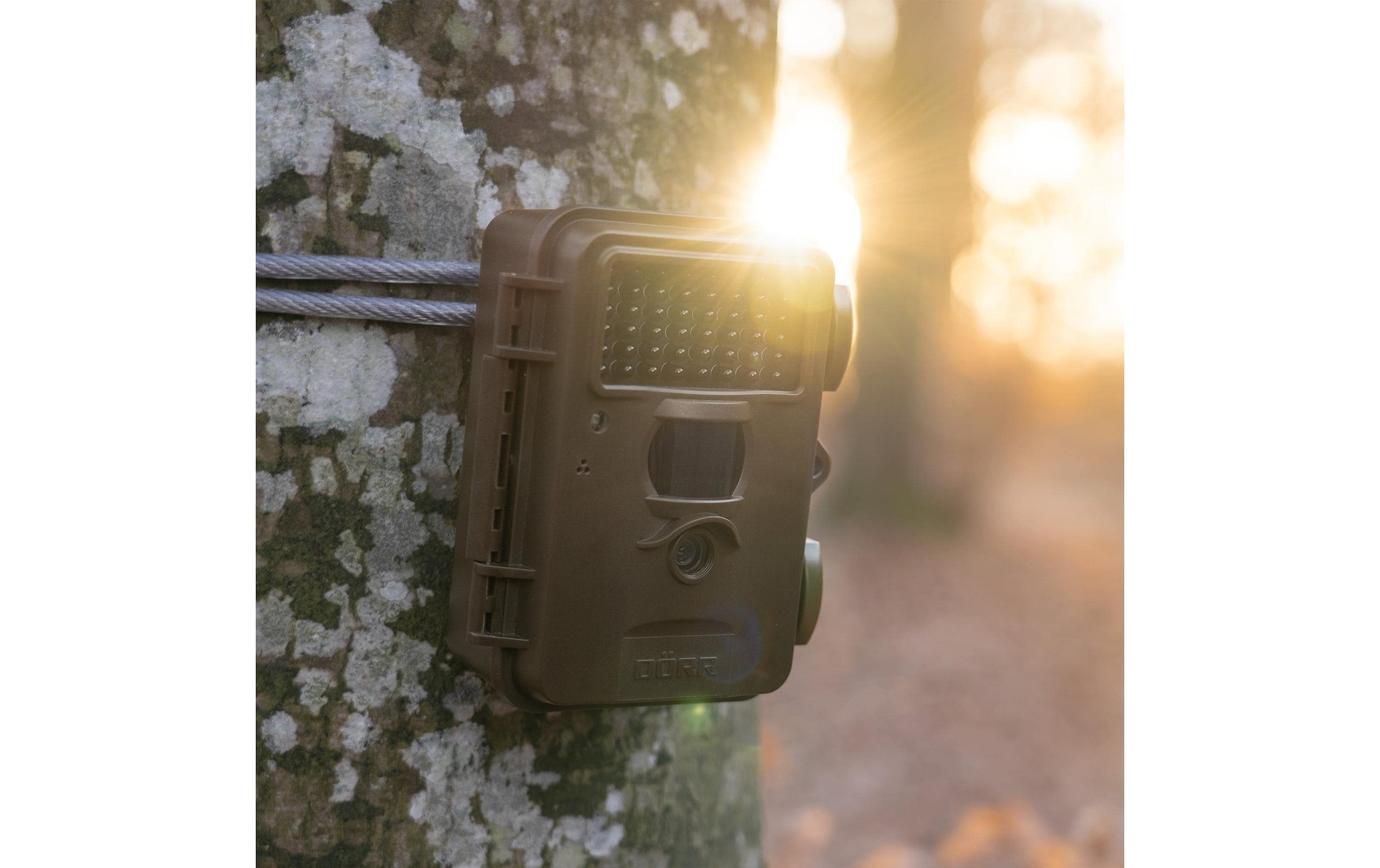 Wildkamera »Dörr Wildkamera SnapShot Mini Black 30MP 4K«, Aussenbereich