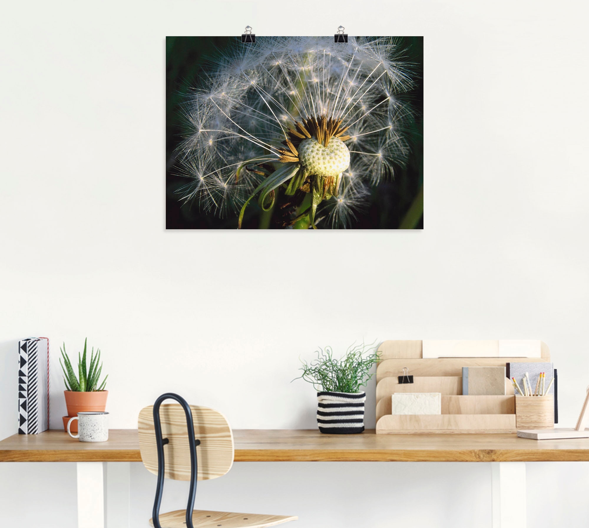 Artland Wandbild »Pusteblume«, Blumen, in Wandaufkleber (1 versch. | als Grössen Jelmoli-Versand St.), Poster Leinwandbild, Alubild, oder online bestellen