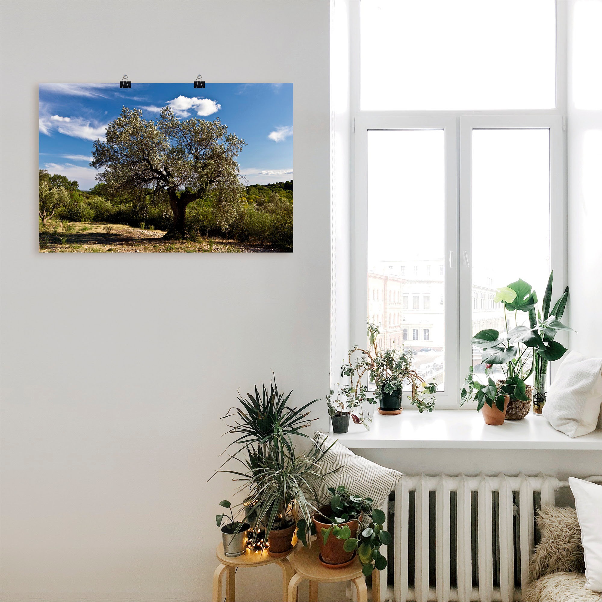 Artland Wandbild »Olivenbaum in Südfrankreich«, Bäume, (1 St.), als Alubild, Outdoorbild, Leinwandbild, Poster in verschied. Grössen