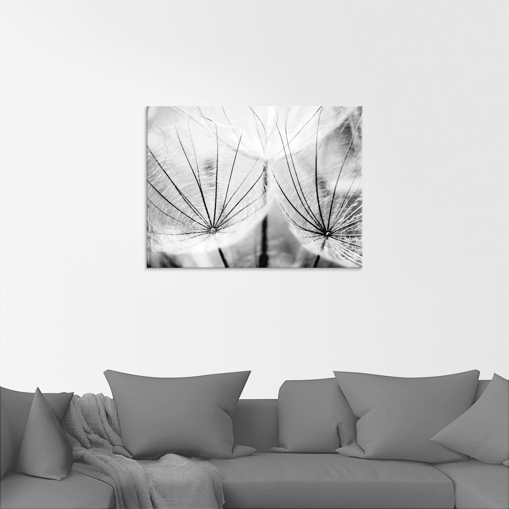 Artland Glasbild »Pusteblume in schwarzweiss«, Blumen, (1 St.), in verschiedenen Grössen