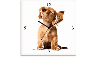 Artland Wandbild »Junger Hund hört Musik über Kopfhörer«, Haustiere, (1 St.),  als Leinwandbild, Poster, Wandaufkleber in verschied. Grössen online  shoppen | Jelmoli-Versand