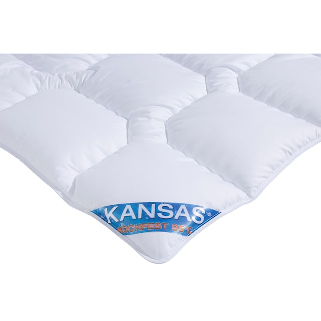 f.a.n. Schlafkomfort Microfaserbettdecke + Kopfkissen »Kansas«, (Spar-Set),  Bettwaren-Set Topseller, in 135x200 cm, für Sommer oder Winter acheter