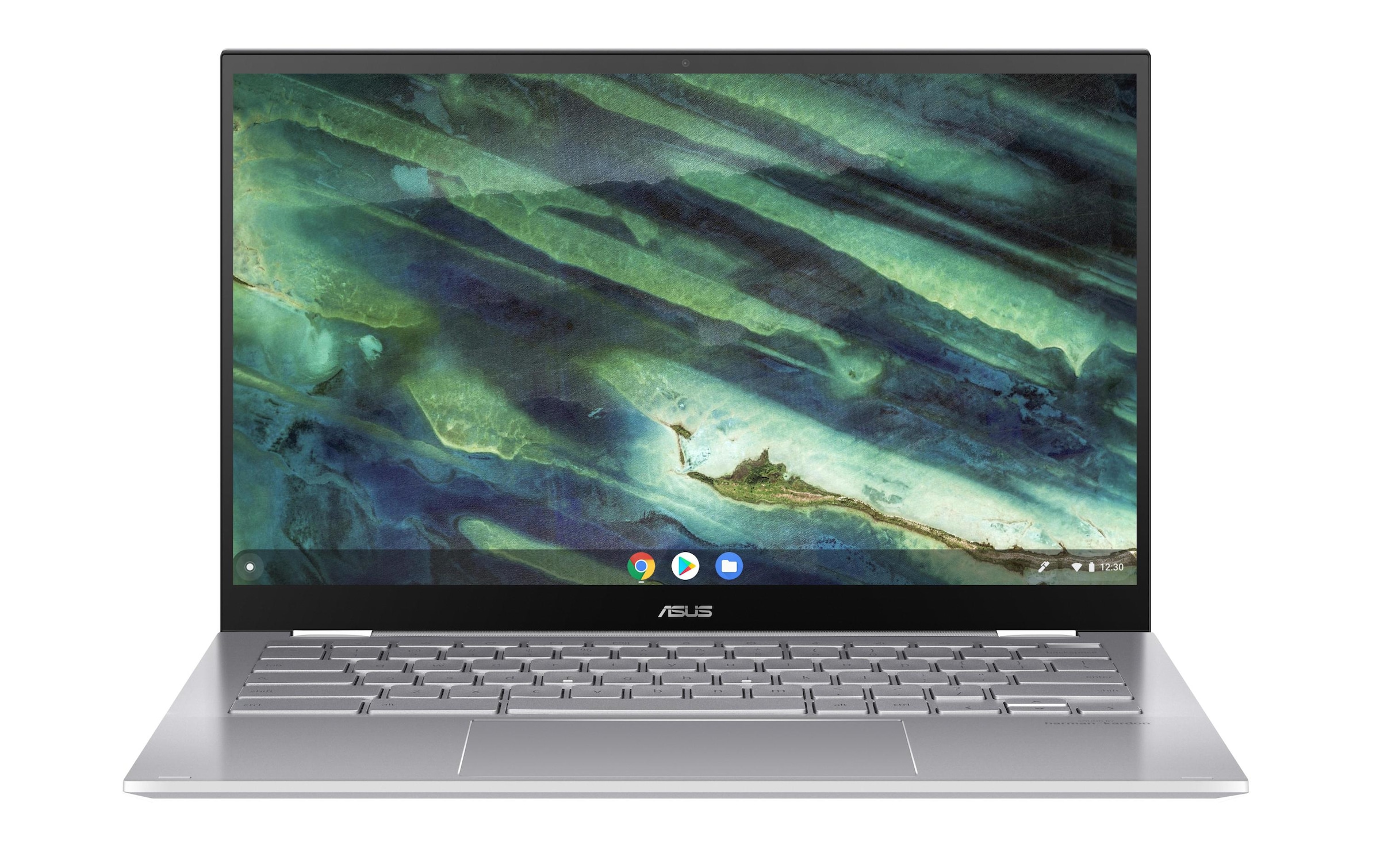 Asus Chromebook »Flip C436FA-E10221«, / 14 Zoll
