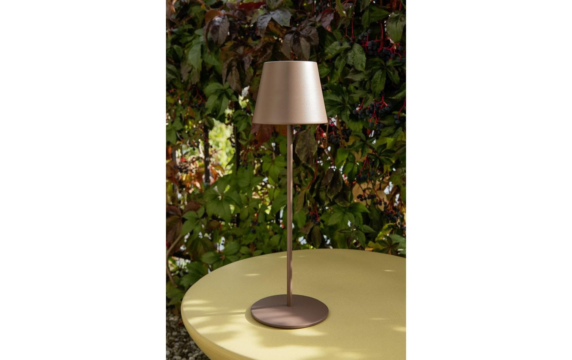 STT Tischleuchte »Motion USB Luna«