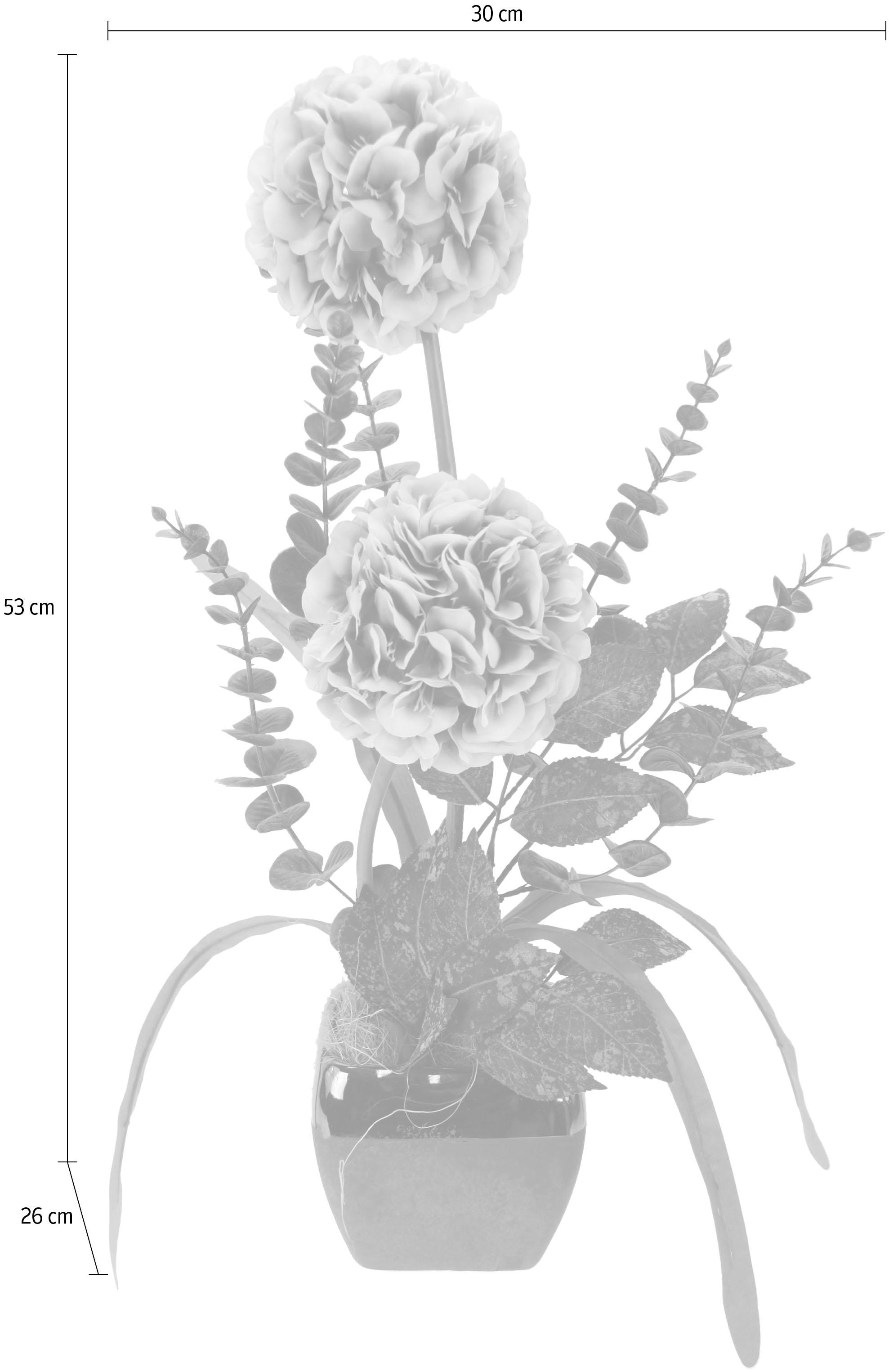 I.GE.A. Kunstpflanze, Arrangement | Jelmoli-Versand Topf im online shoppen