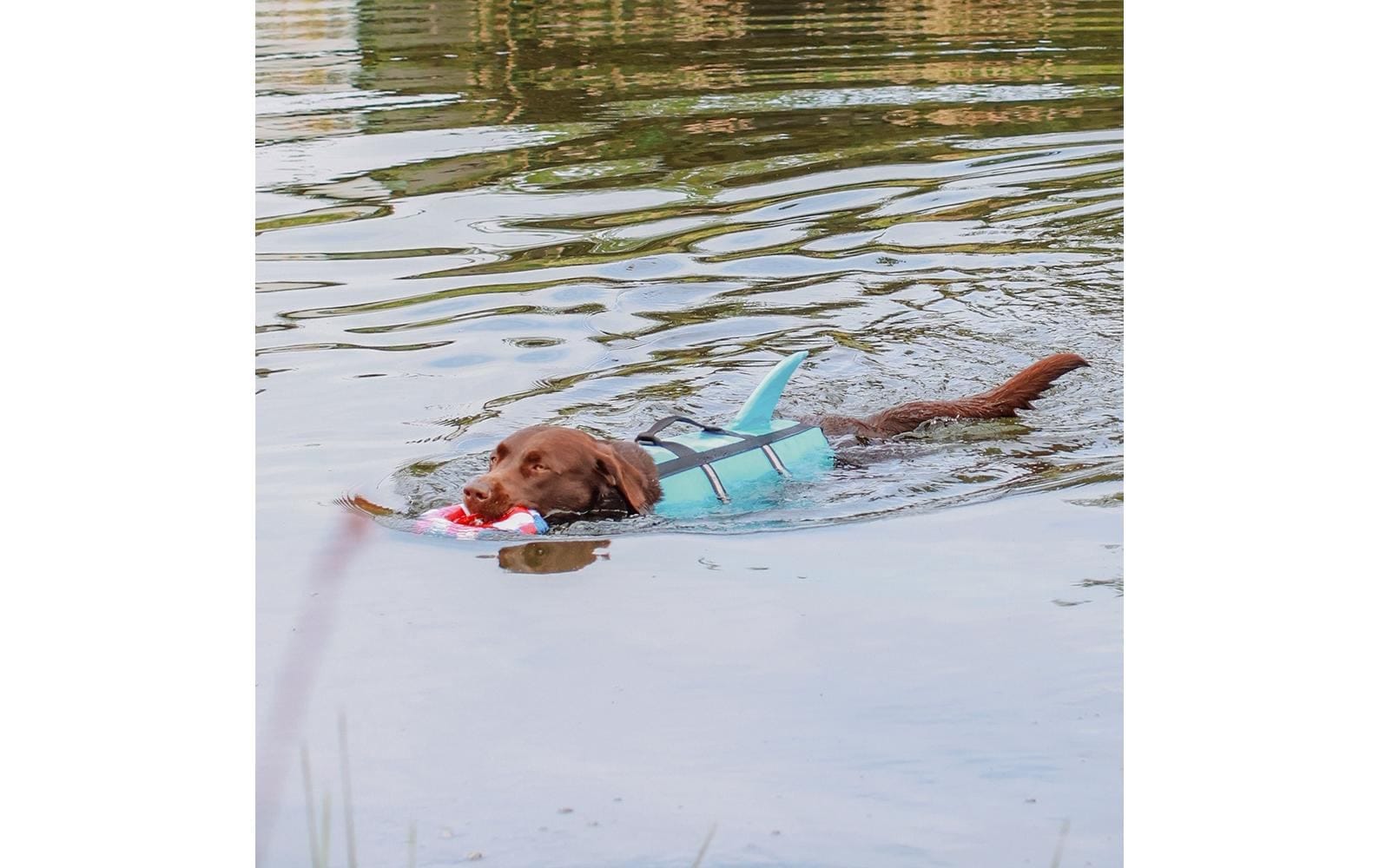 Nobby Hundeweste »Sharki L, 40 cm, Blau«