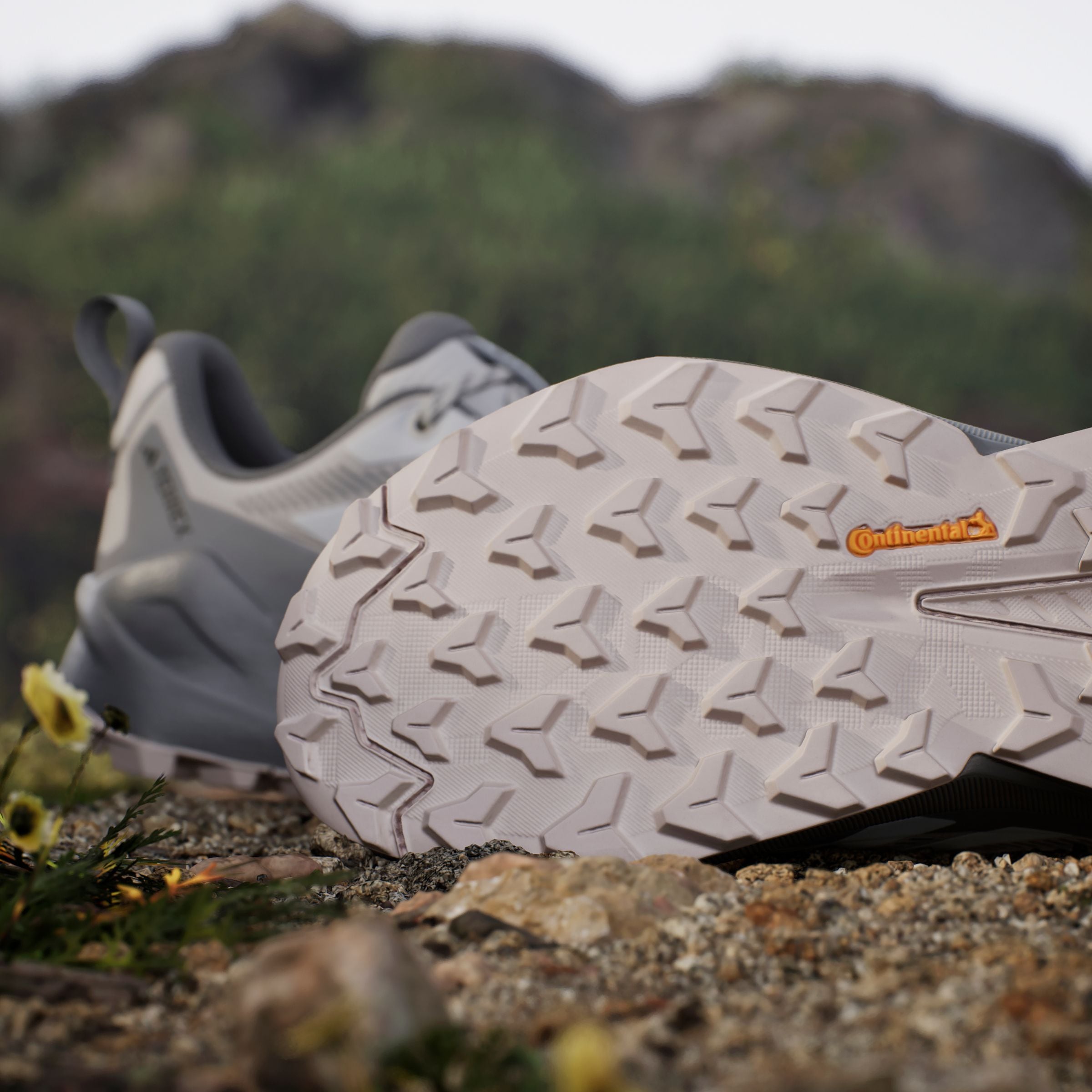 adidas TERREX Wanderschuh »TERREX TRAILMAKER 2.0 GORE-TEX«, wasserdicht
