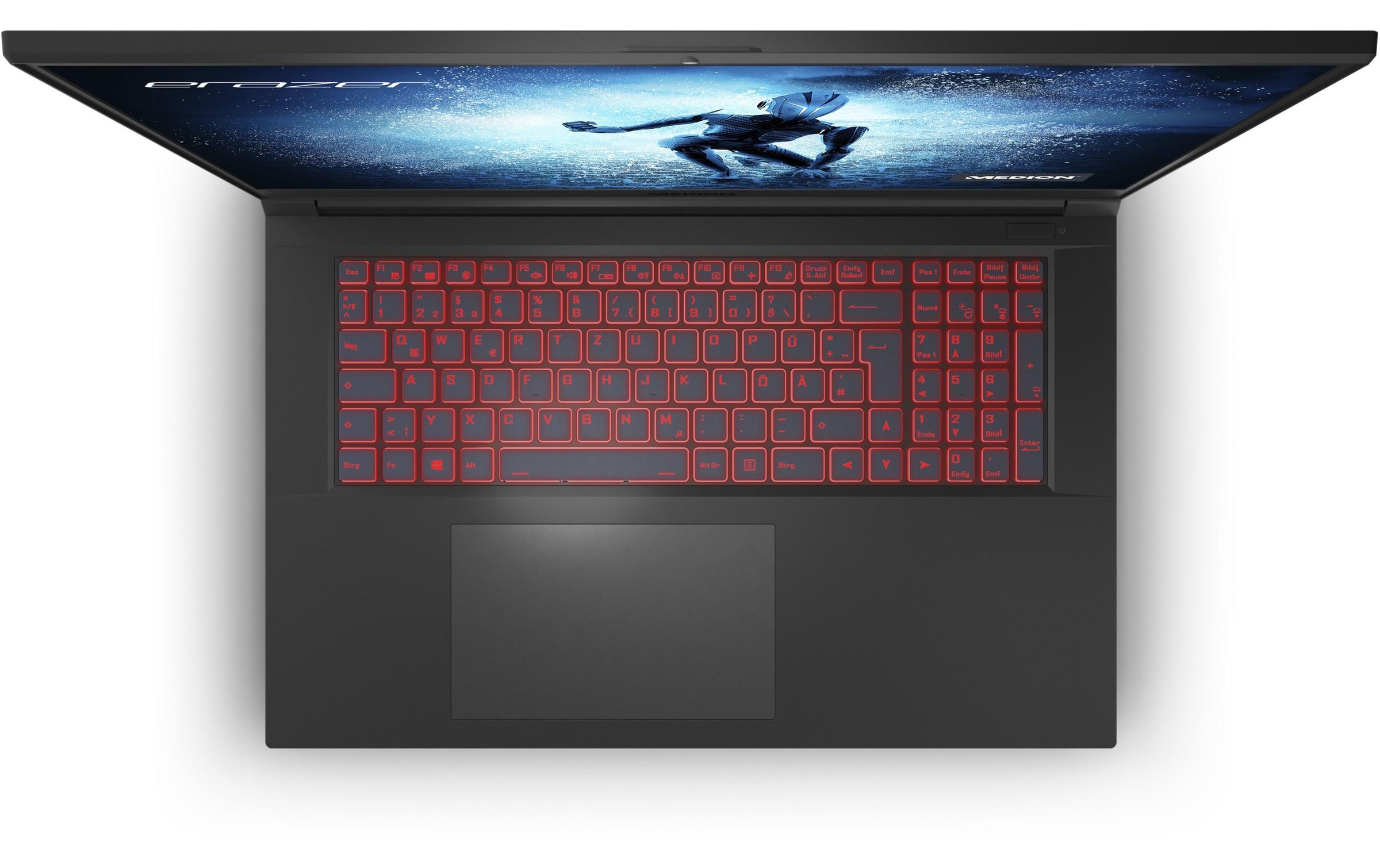 Medion® Gaming-Notebook »Erazer Defender P20«, 43,77 cm, / 17,3 Zoll, Intel, Core i7, GeForce RTX 3060, 1000 GB SSD