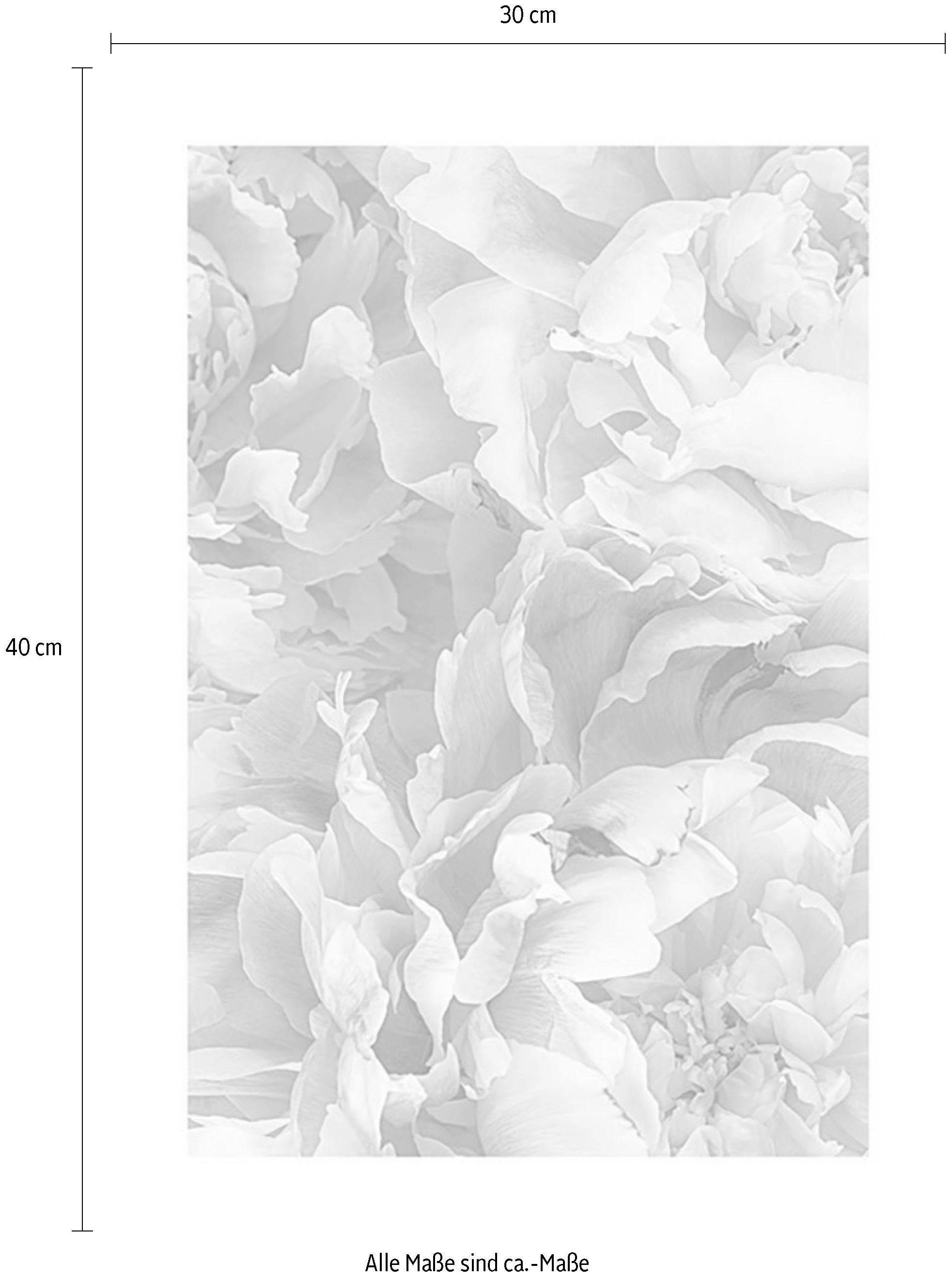 Komar Bild »Sauve«, Blumen, (1 St.), Wandbild zur Dekoration - ohne Rahmen