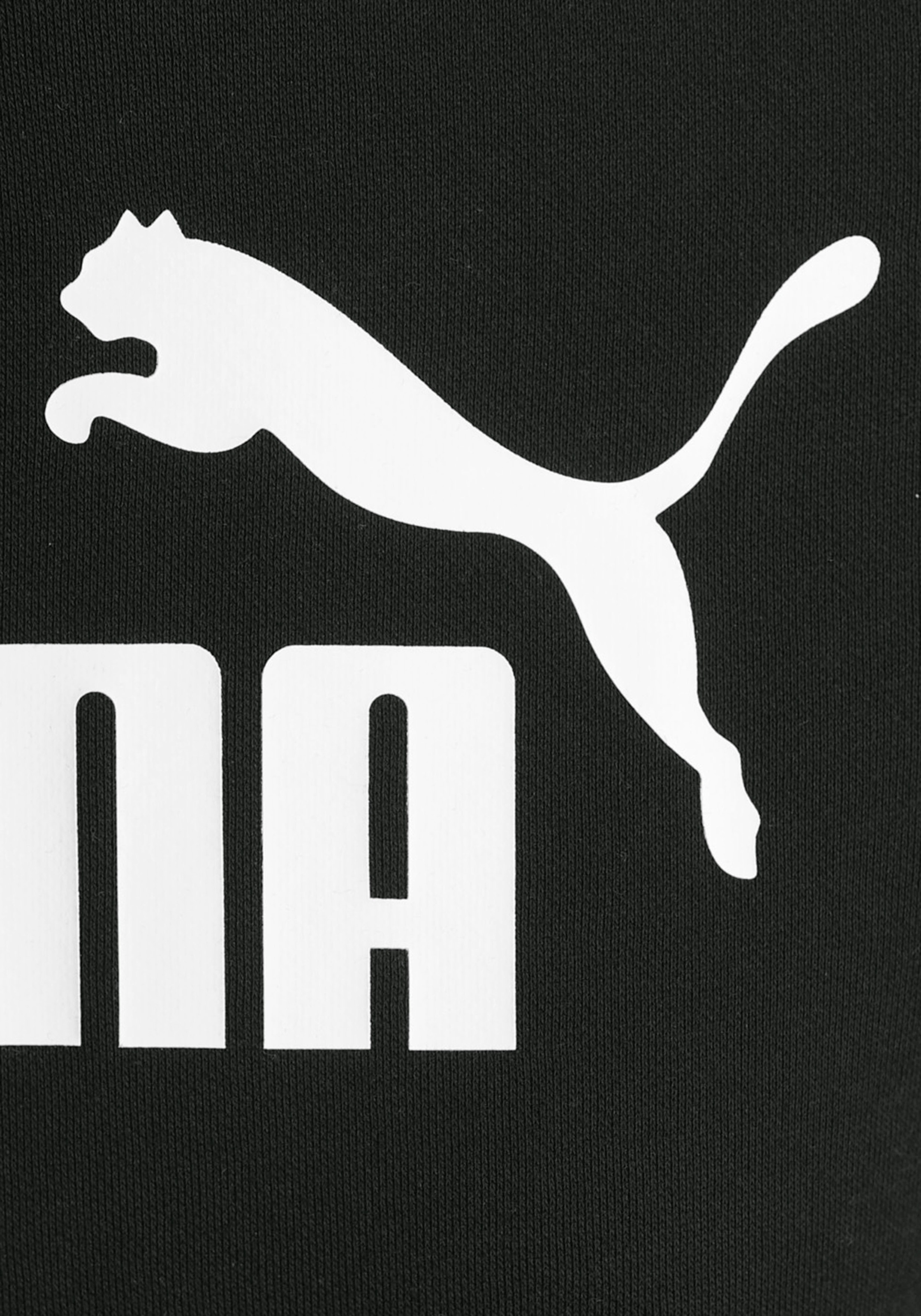 PUMA Kapuzensweatshirt »ESS LOGO HOODIE FL«