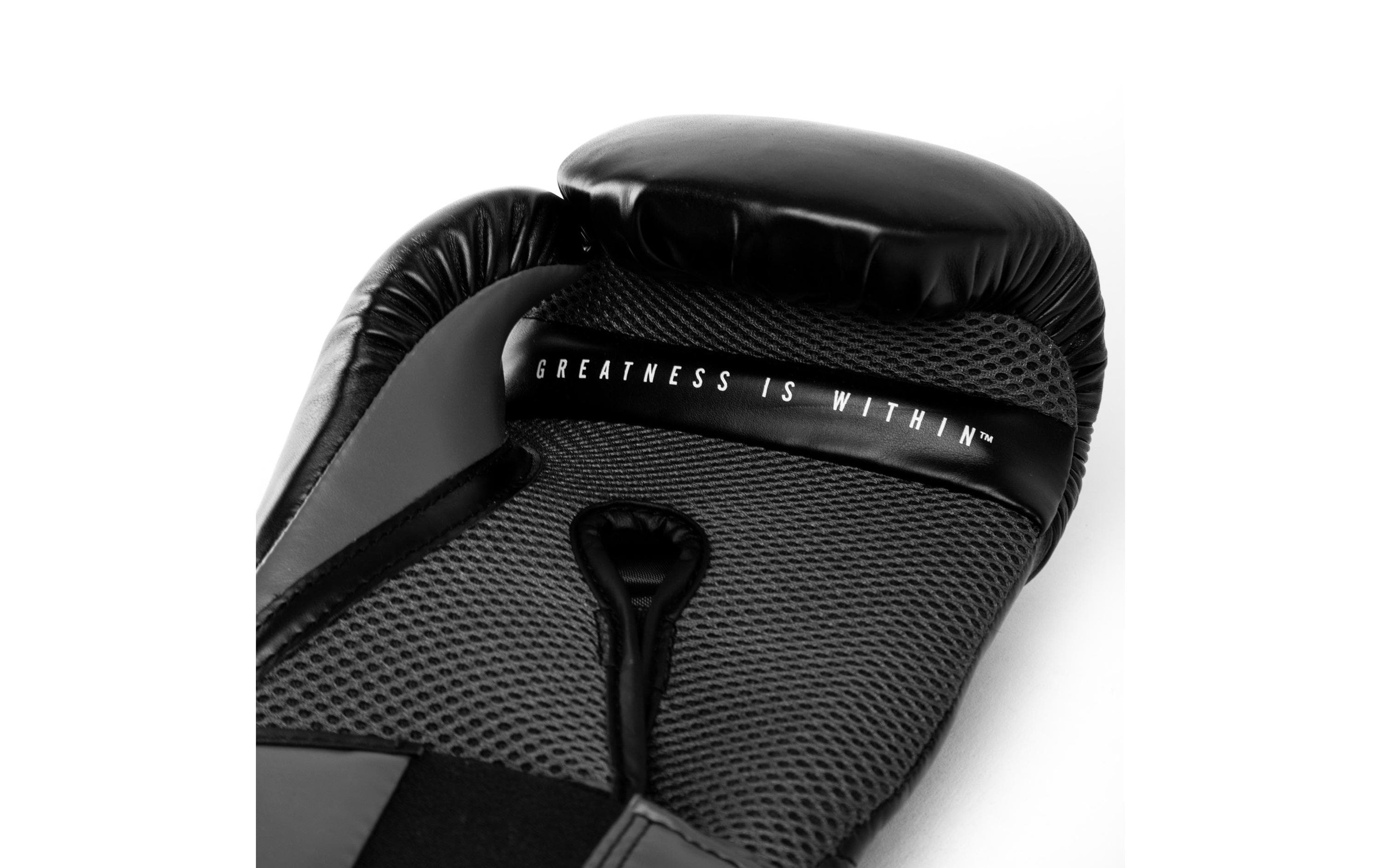 Everlast Boxhandschuhe »PRO STYLE ELITE TRAINING GLOVES«