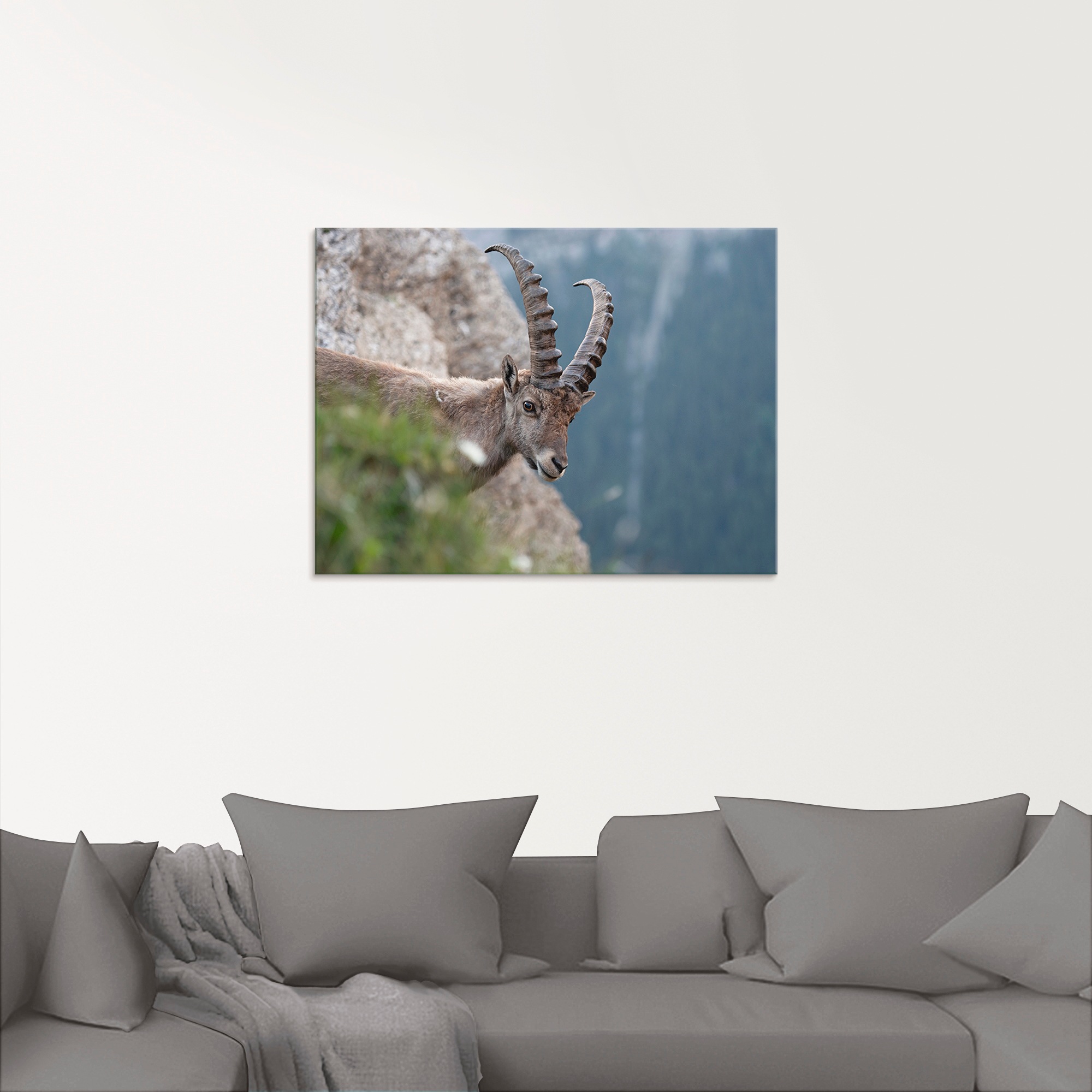Artland Glasbild »Steinbock«, Wildtiere, (1 St.), in verschiedenen Grössen