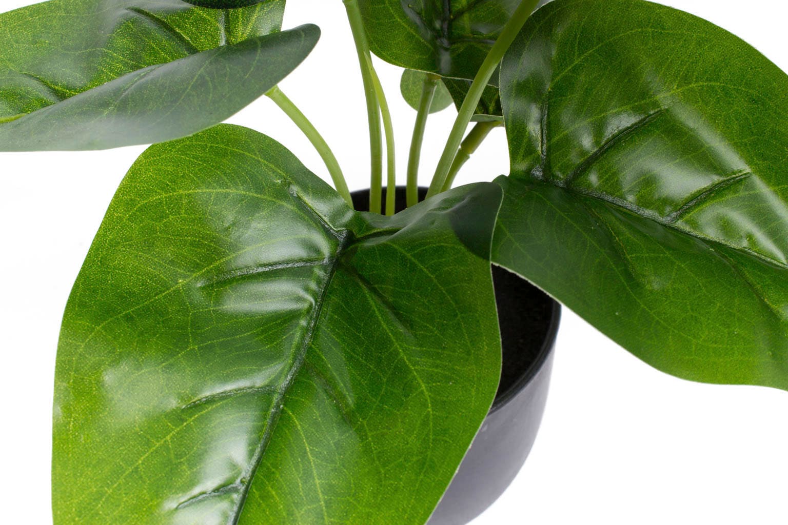 »Philodendron« | bestellen Zimmerpflanze Künstliche Jelmoli-Versand online Botanic-Haus
