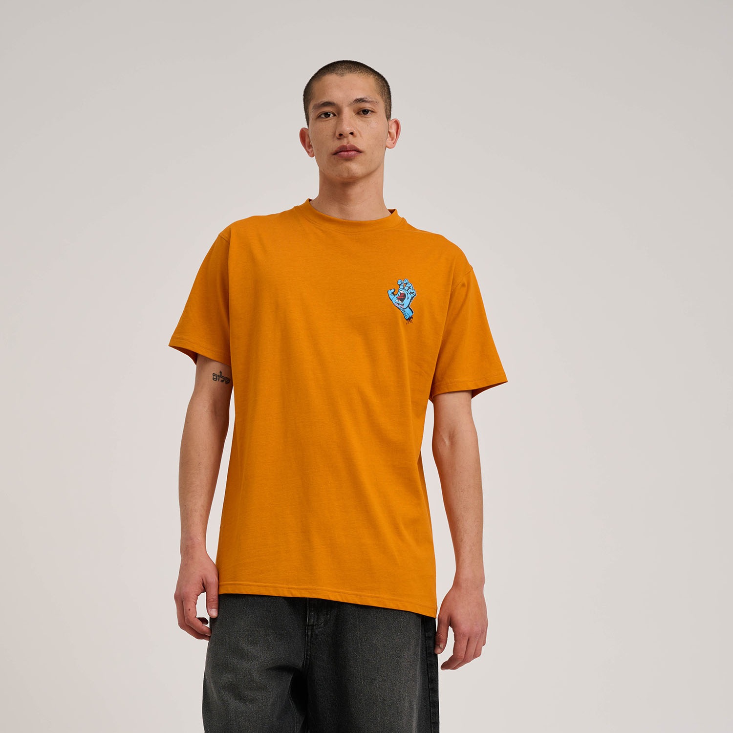 Santa Cruz T-Shirt »WOODLAND MINI STRIP FRONT T-SHIRT«, (1 tlg.)