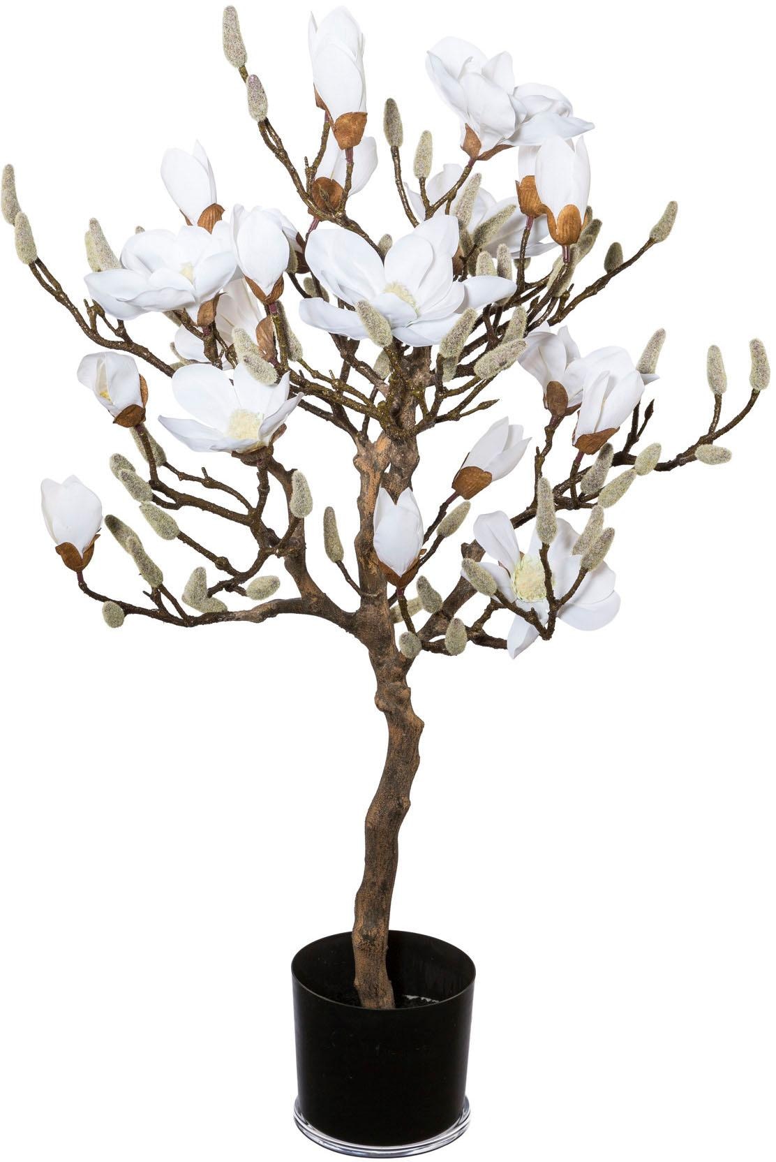 Creativ green Kunstpflanze »Magnolienbaum«