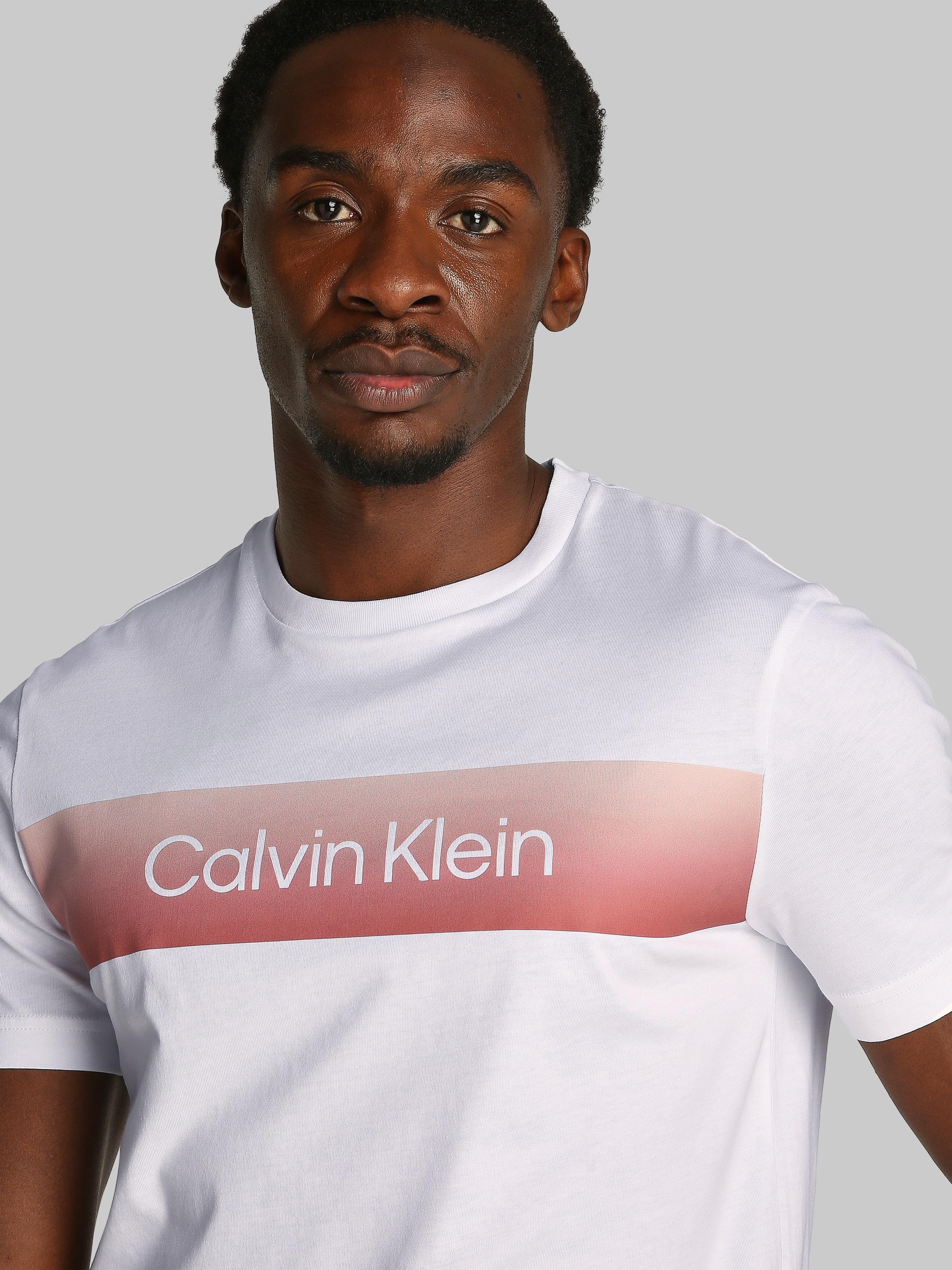 Calvin Klein T-Shirt »LINEAR OMBRE CHEST LOGO T-SHIRT«, mit Ombré-Logo-Druck