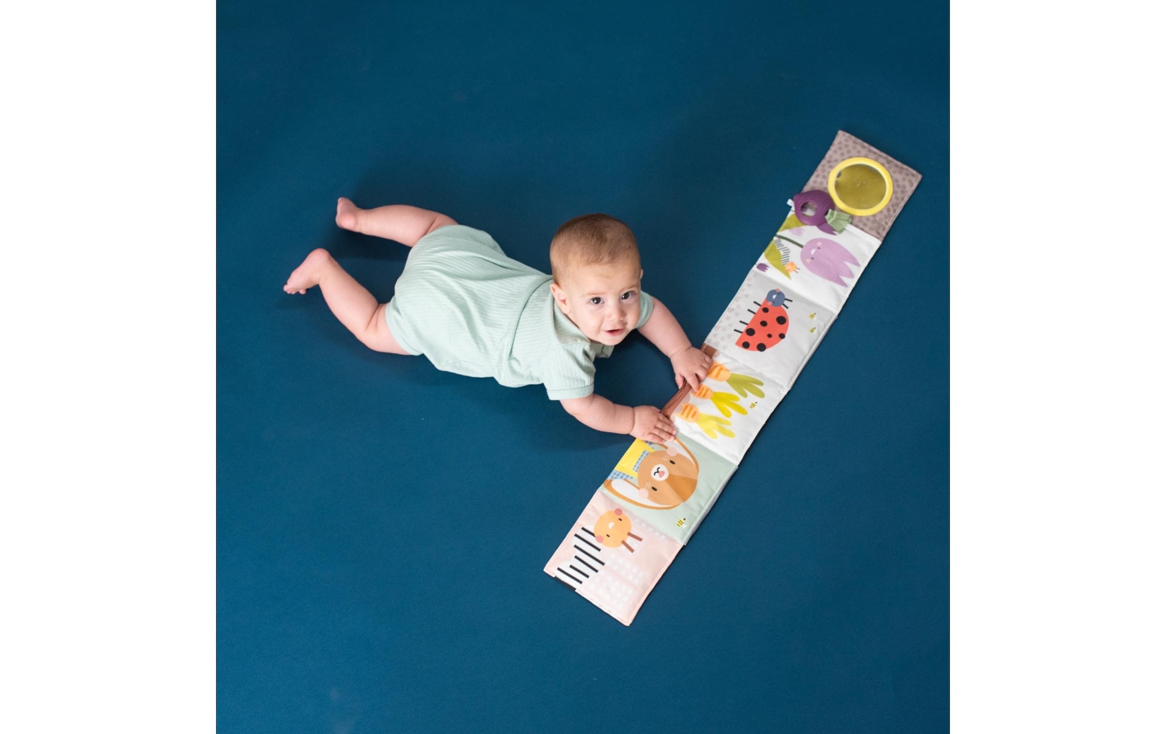 TAF TOYS Lernspielzeug »Urban Garden 0M+«
