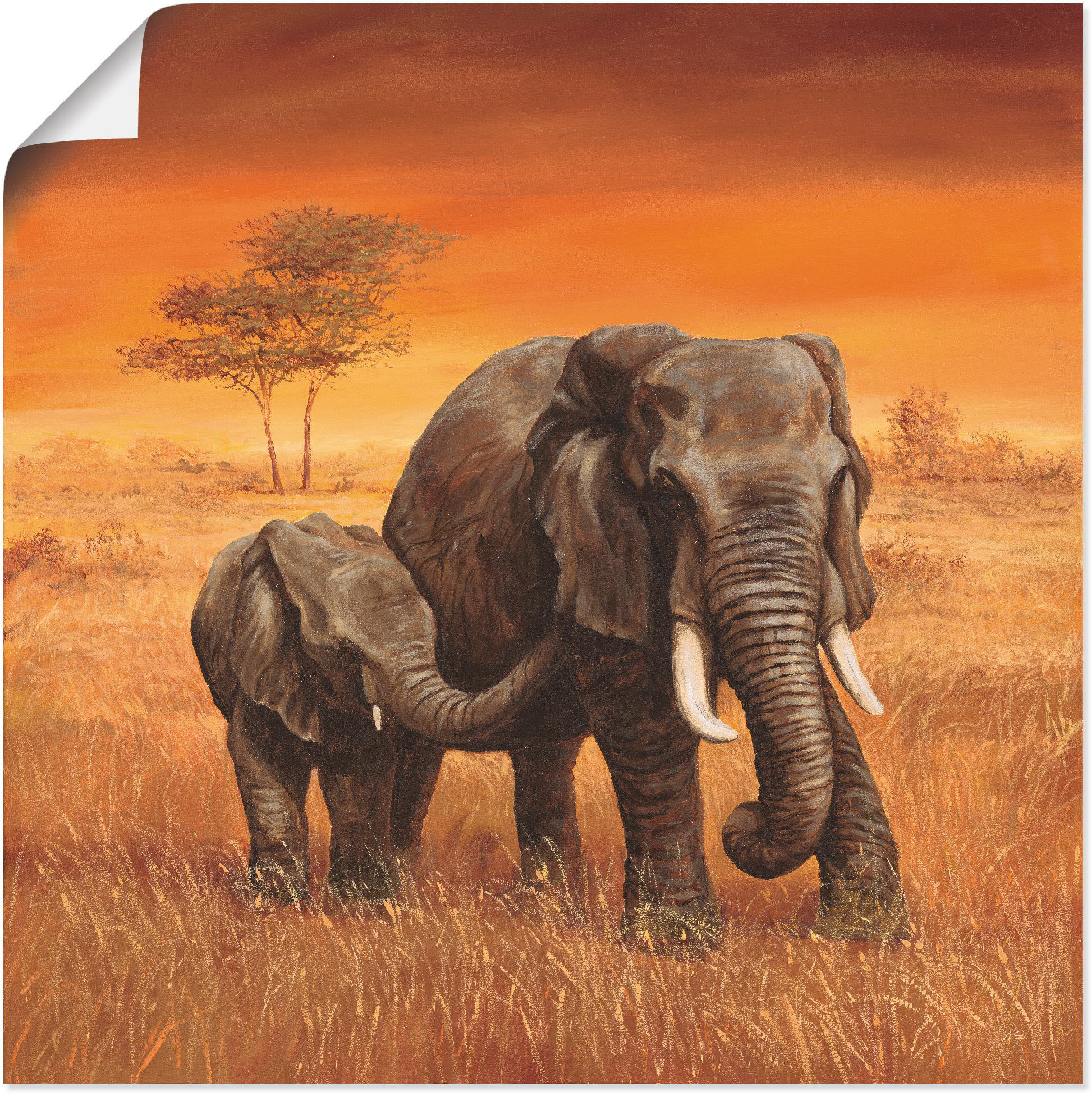| online Alubild, kaufen St.), Elefanten in (1 Bilder, Poster Leinwandbild, am Jelmoli-Versand »Elefanten Grössen Wandbild Wandaufkleber Wasserloch«, versch. Artland oder als