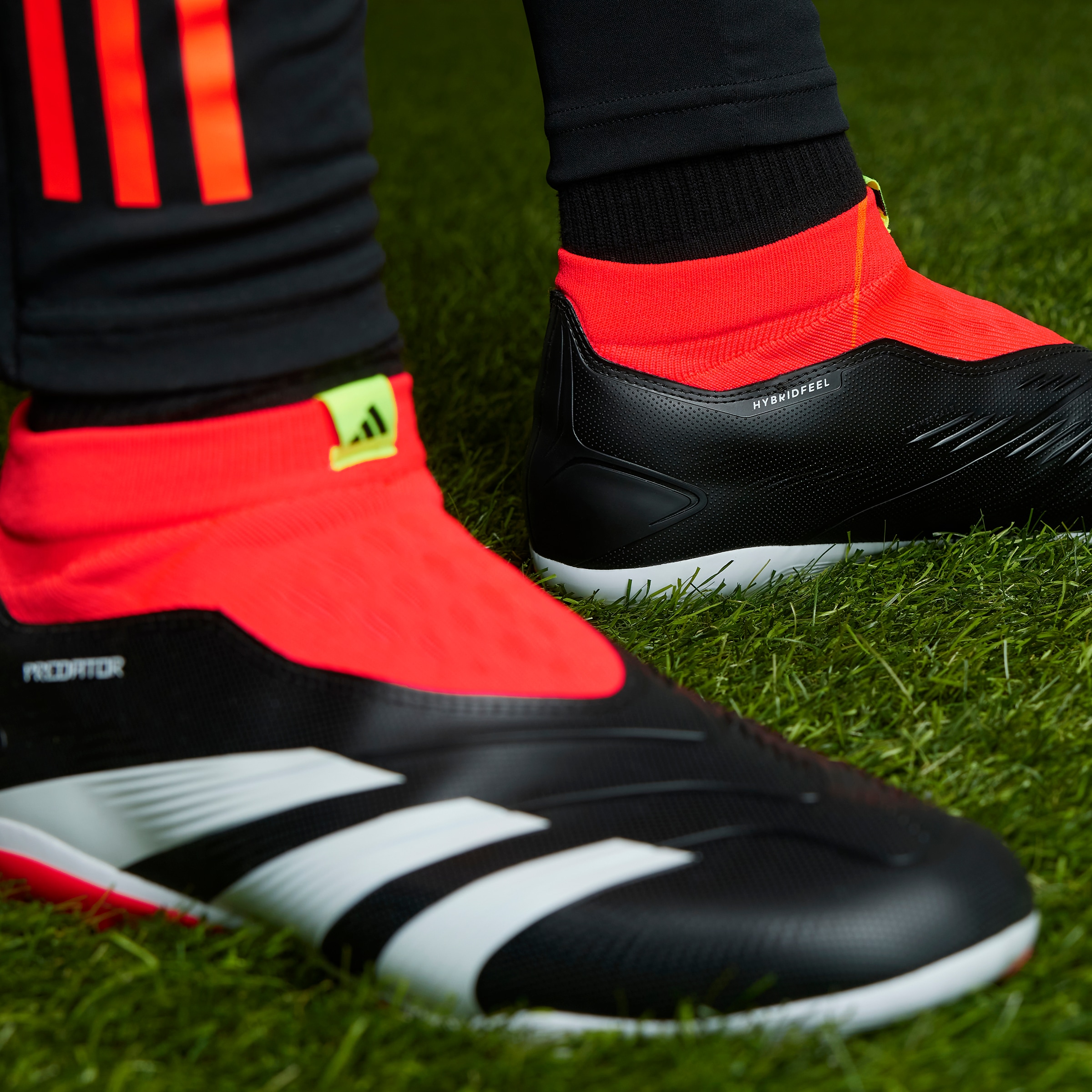 adidas Performance Fussballschuh »PREDATOR LEAGUE LACELESS FG«