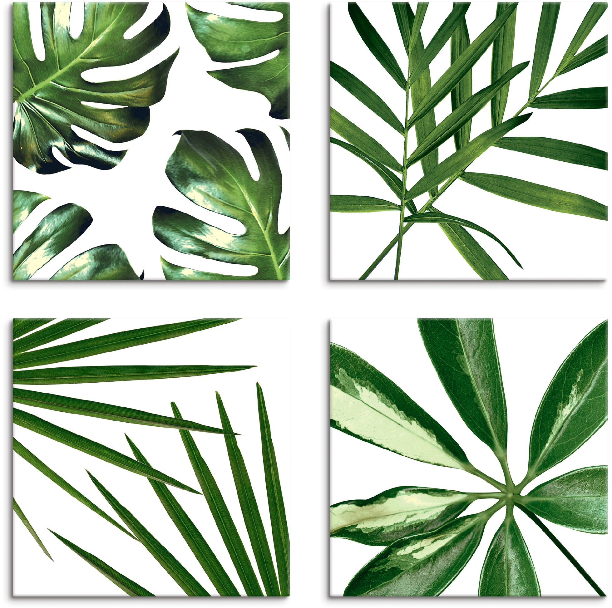 Artland Leinwandbild »Blätter«, Blätter, (4 verschiedene Grössen | shoppen St.), Set, 4er online Jelmoli-Versand
