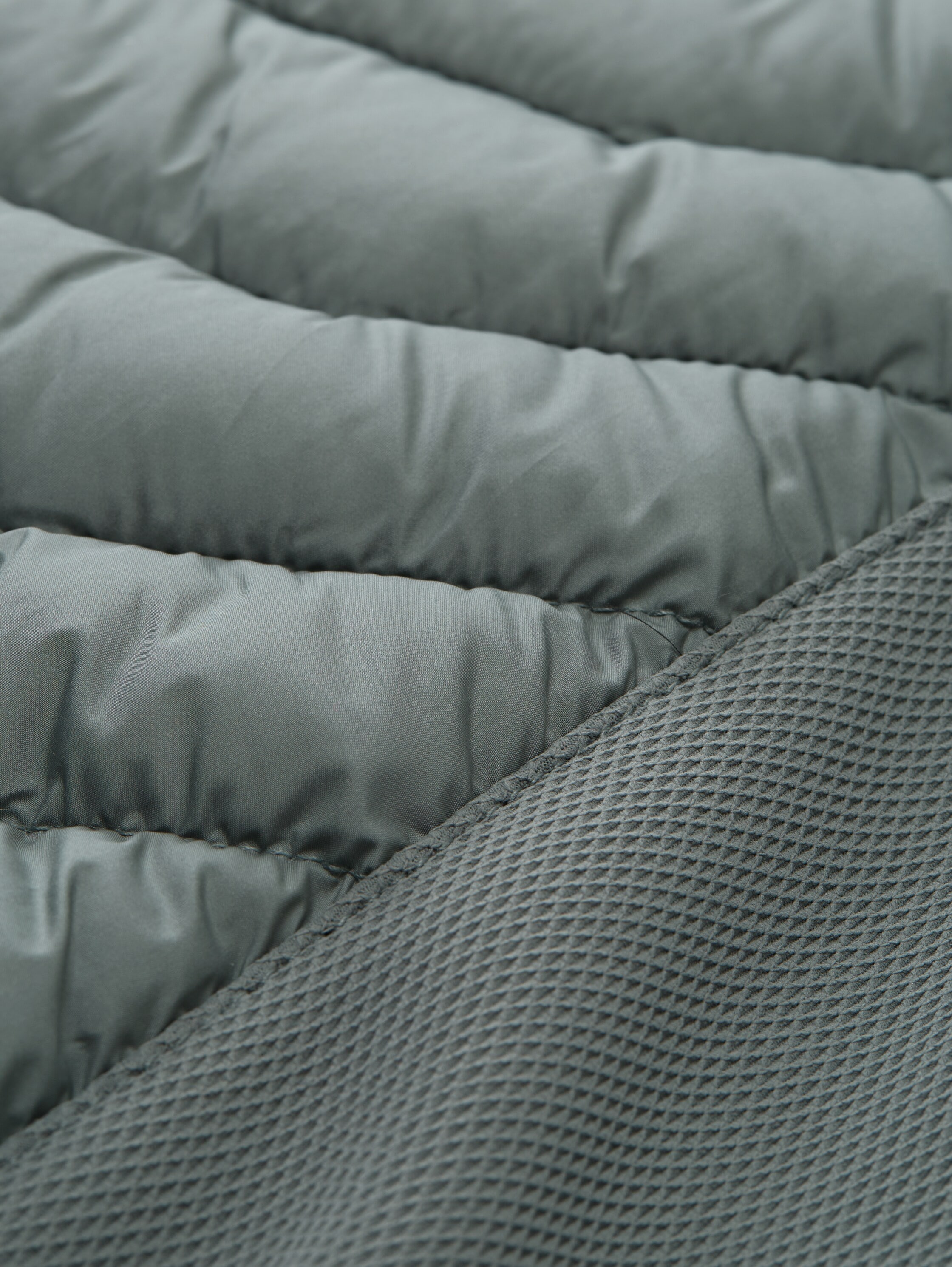 TOM TAILOR Steppjacke, ohne Kapuze, mit Logo Stickerei