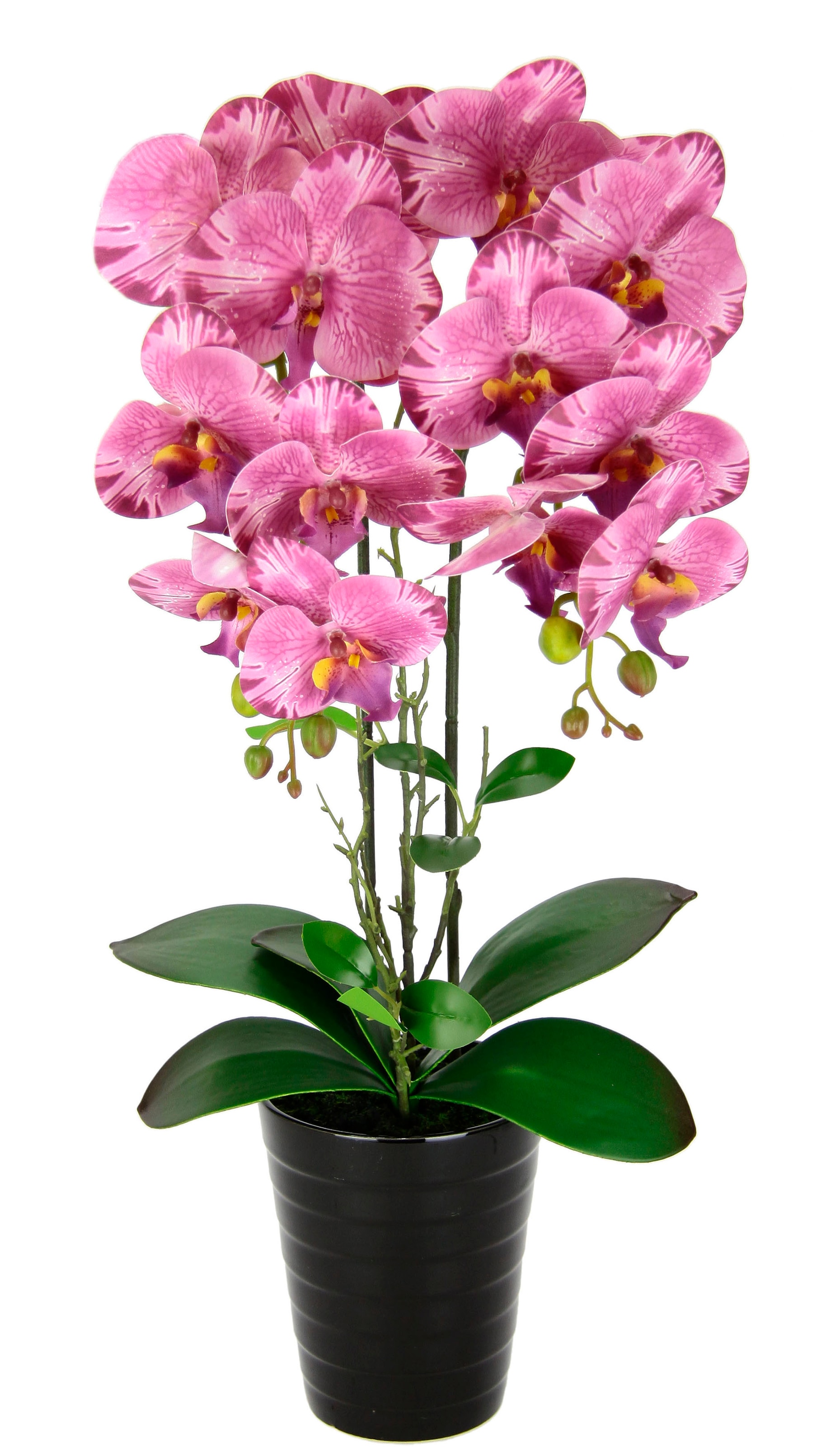 I.GE.A. Kunstblume Orchidee Hochzeit Jelmoli-Versand shoppen mit Phalaenopsis Im Übertopf | Topf »Orchidee«, Phalaenopsis online