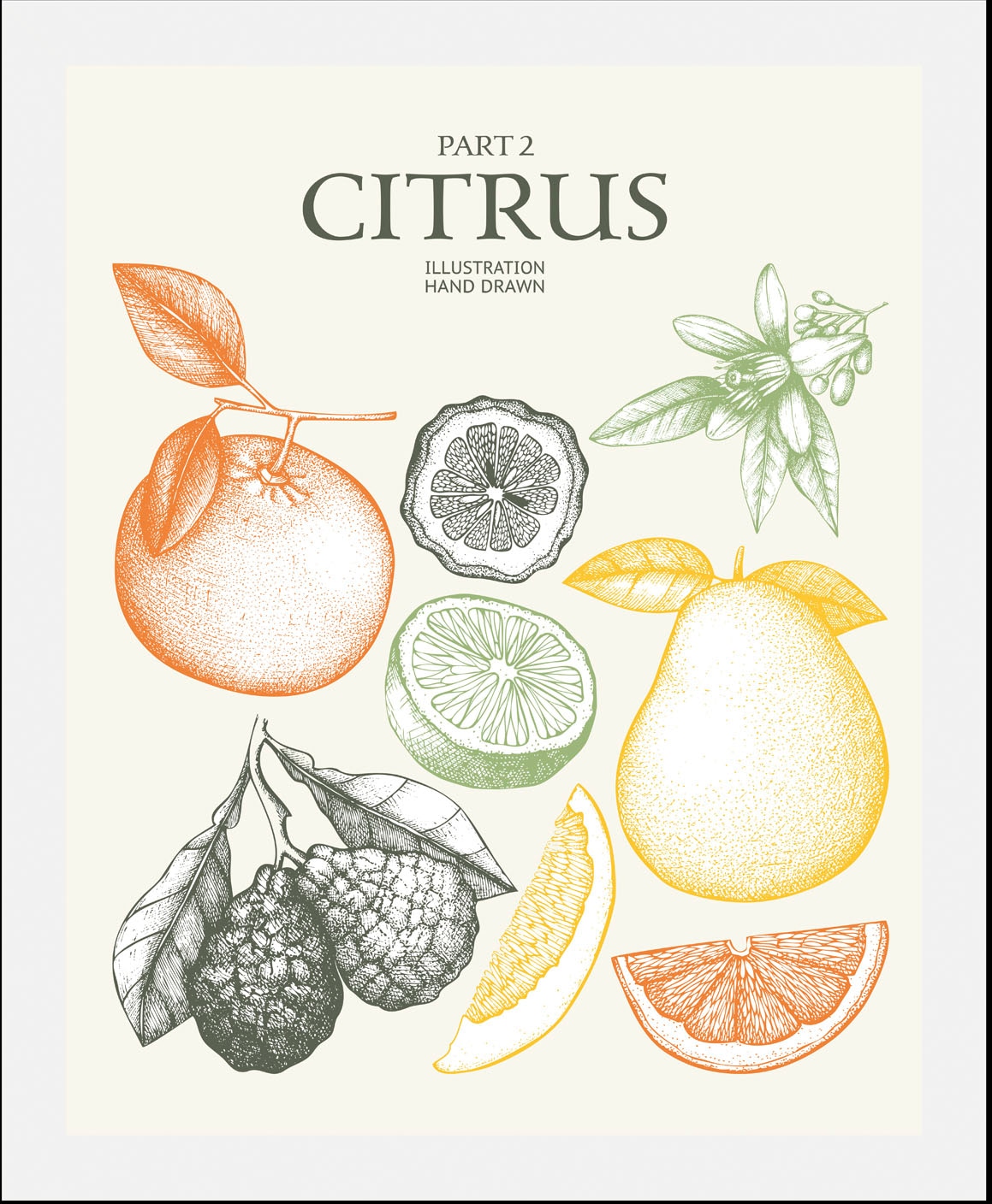 ❤ queence Bild »Citrus«, (1 St.), gerahmt bestellen im Jelmoli-Online Shop | Kunstdrucke