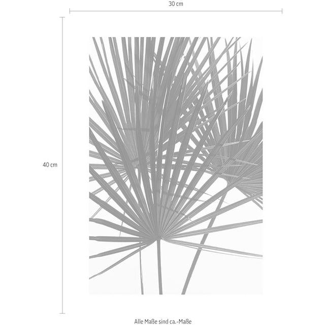 ❤ Komar Poster »Palmtree Leaves«, Pflanzen, (1 St.), Kinderzimmer,  Schlafzimmer, Wohnzimmer ordern im Jelmoli-Online Shop