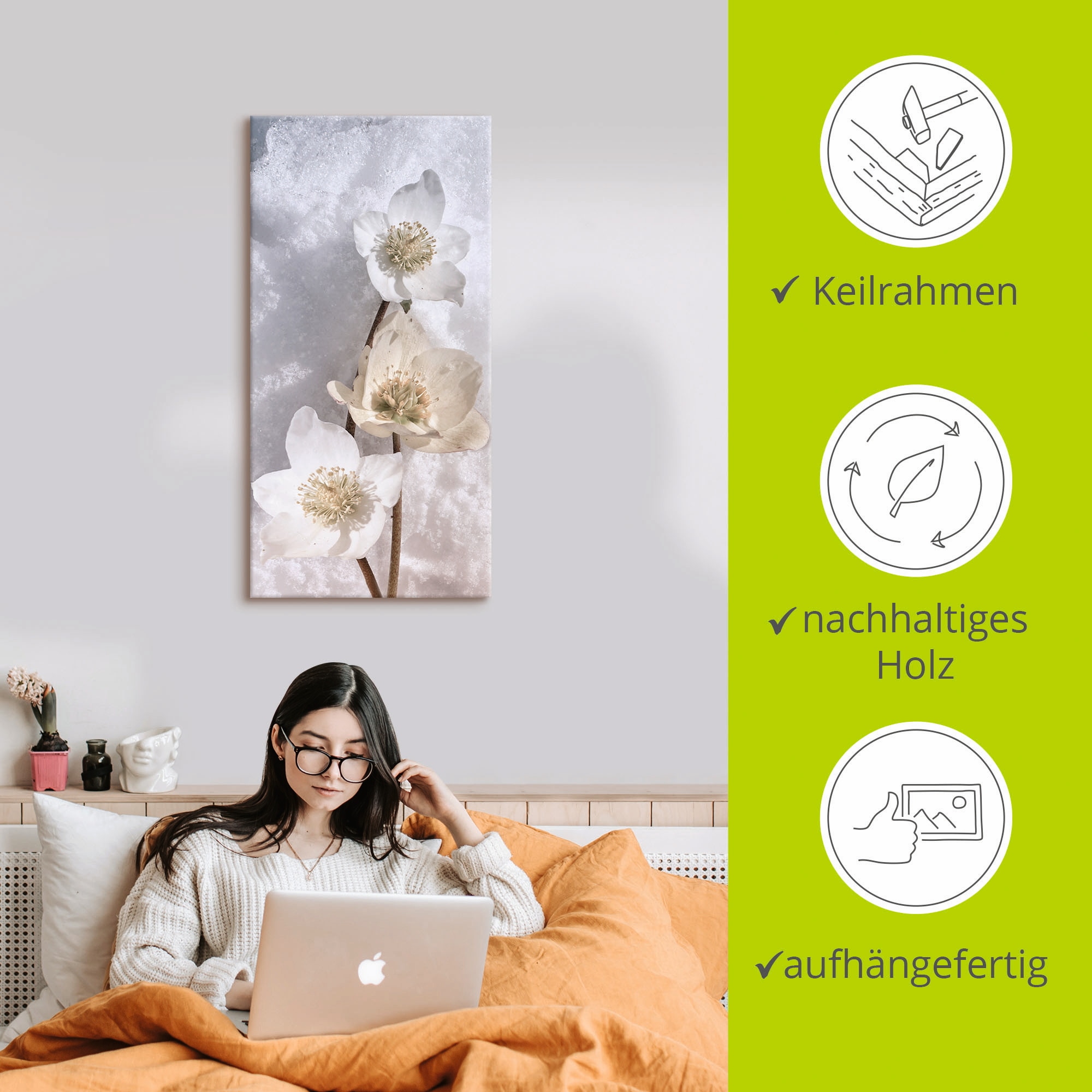 Artland Wandbild »Christrose im Schnee«, Blumen, (1 St.), als Leinwandbild, Poster in verschied. Grössen