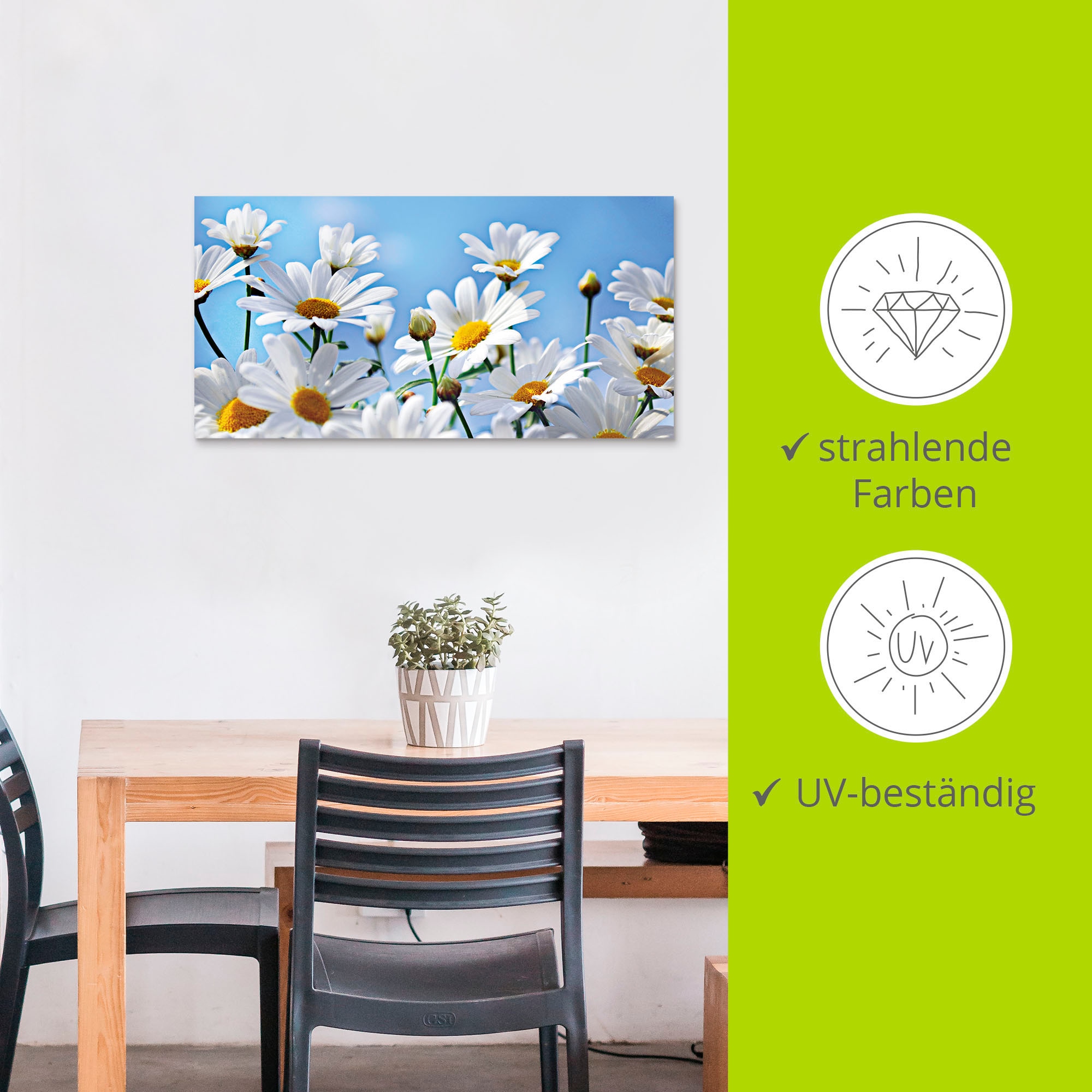 Artland Wandbild »Blumen - Margeriten«, Blumen, (1 St.), als Alubild, Outdoorbild, Leinwandbild in verschied. Grössen