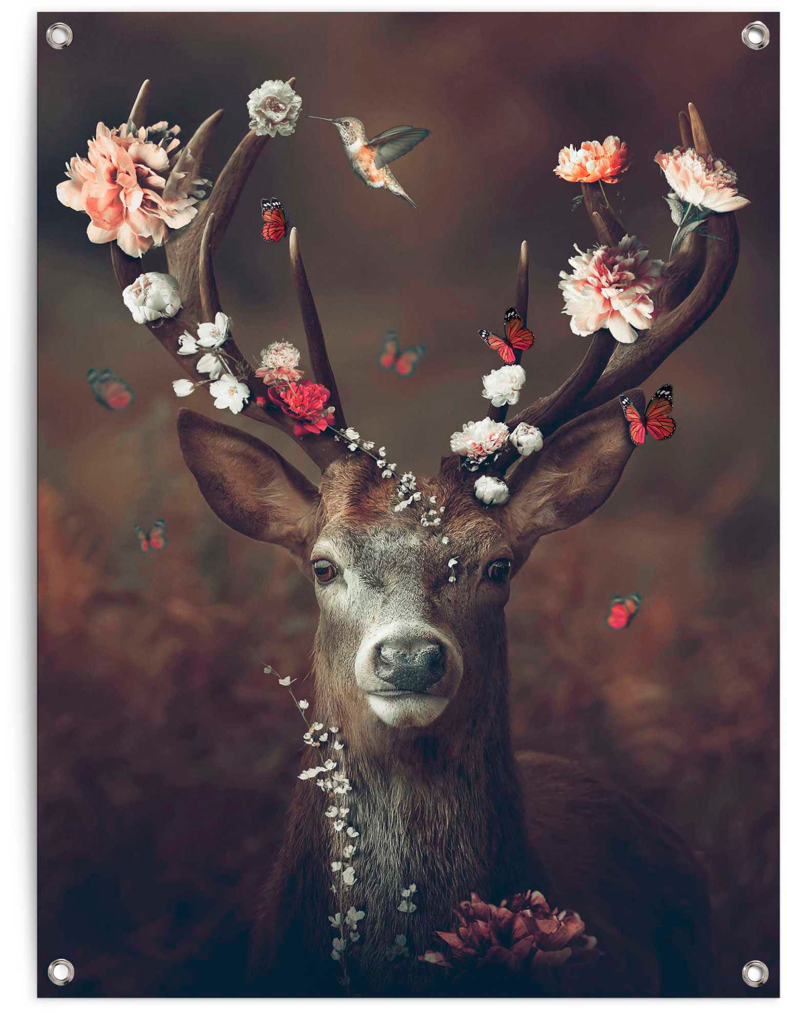 Reinders! Poster »Hirsch« online shoppen | Jelmoli-Versand