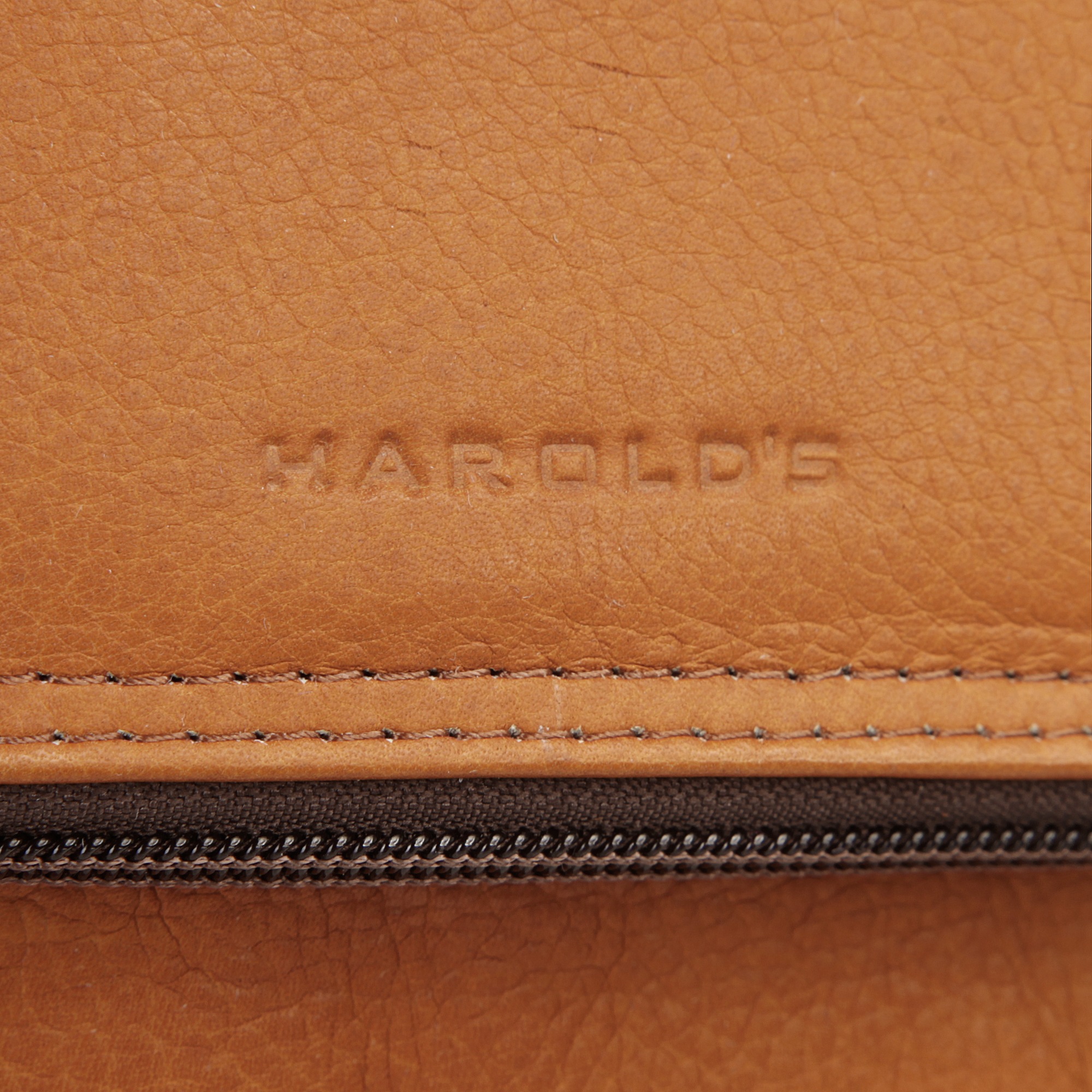 Harold's Laptoprucksack »COUNTRY«, echt Leder