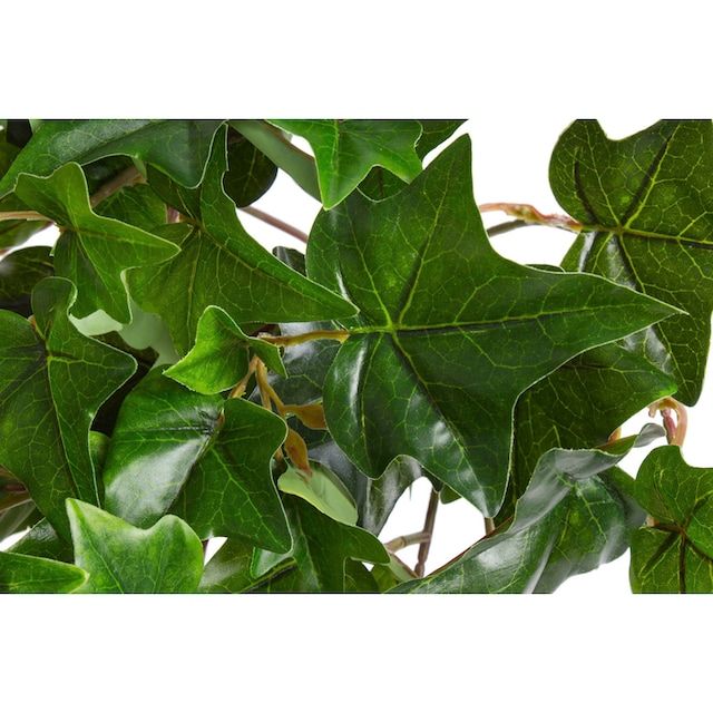 Botanic-Haus Künstliche Zimmerpflanze »Efeu-Hängebusch mit 10 Stielen«  online bestellen | Jelmoli-Versand