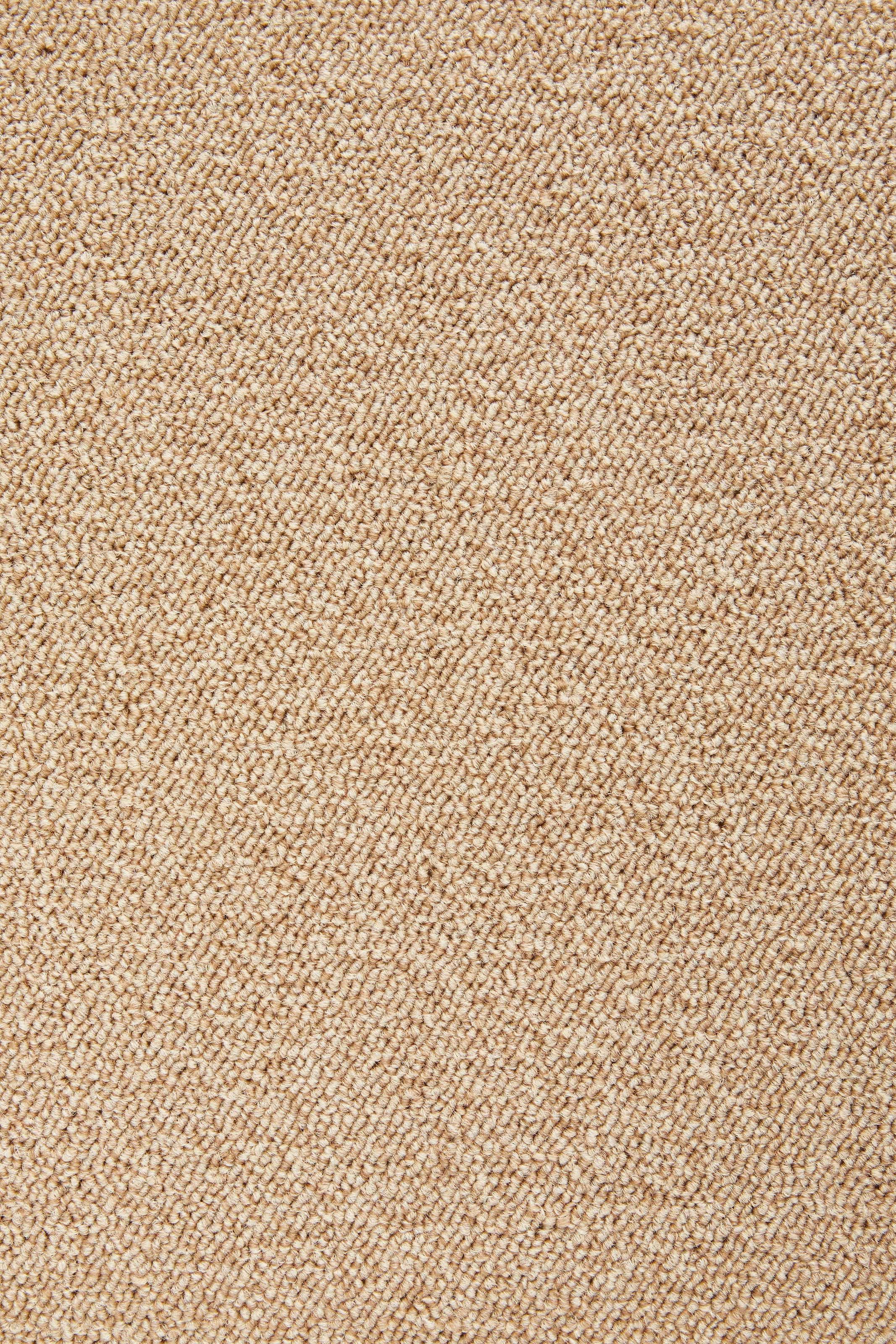 my home Teppichboden »Malte, melierte Schlinge, Made in Belgium«, rechteckig, 6 mm Höhe, Breite 400 & 500 cm, langlebig, pflegeleicht, trittschalldämmend