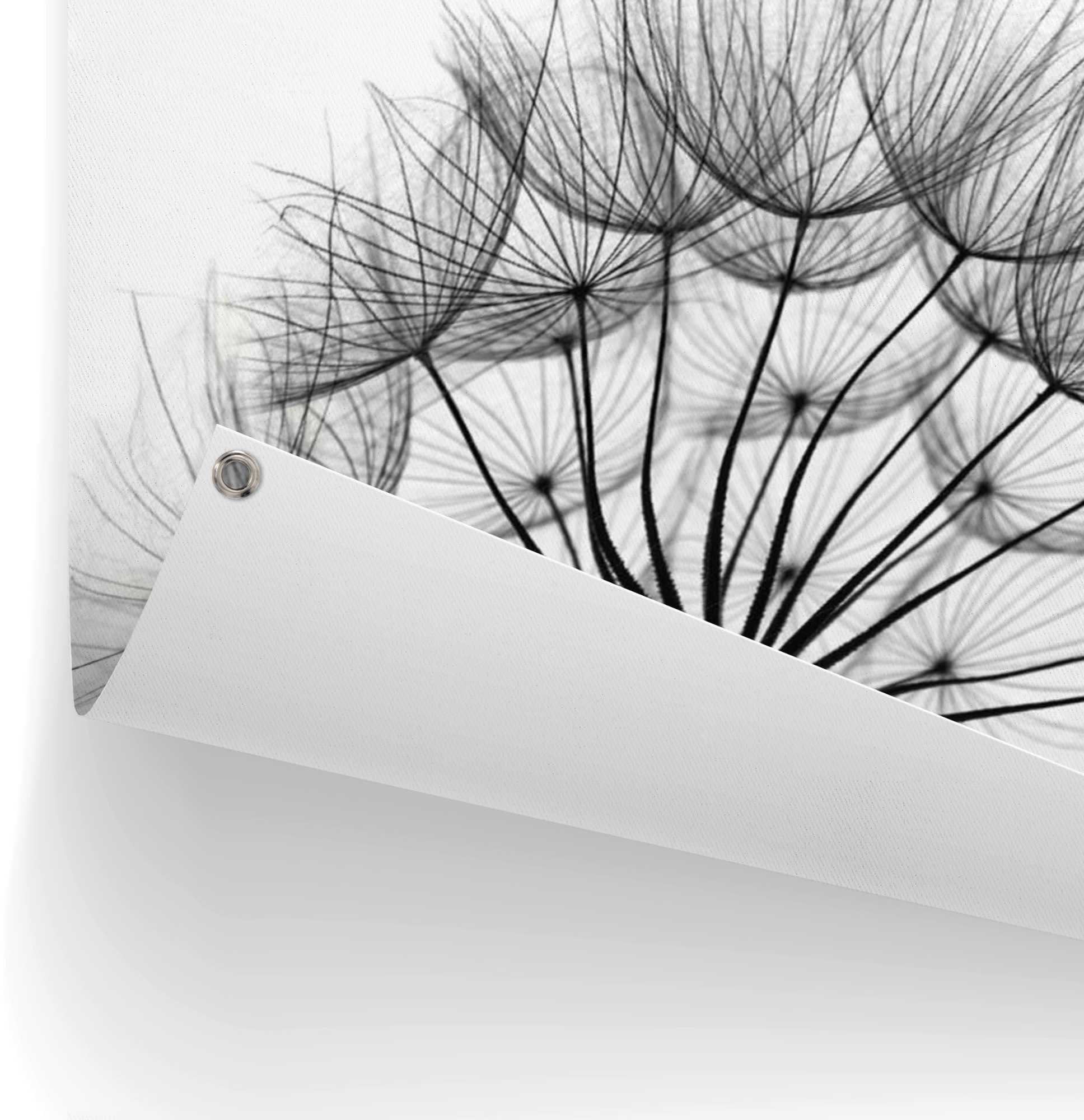Reinders! Poster »Pusteblume«, leichtes und wasserfestes Gartenposter für den Ausseneinsatz